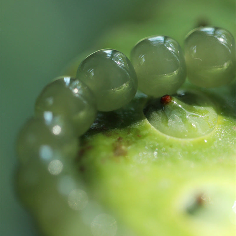 Jade Lotus Abundance Adjustable Bracelet for Prosperity