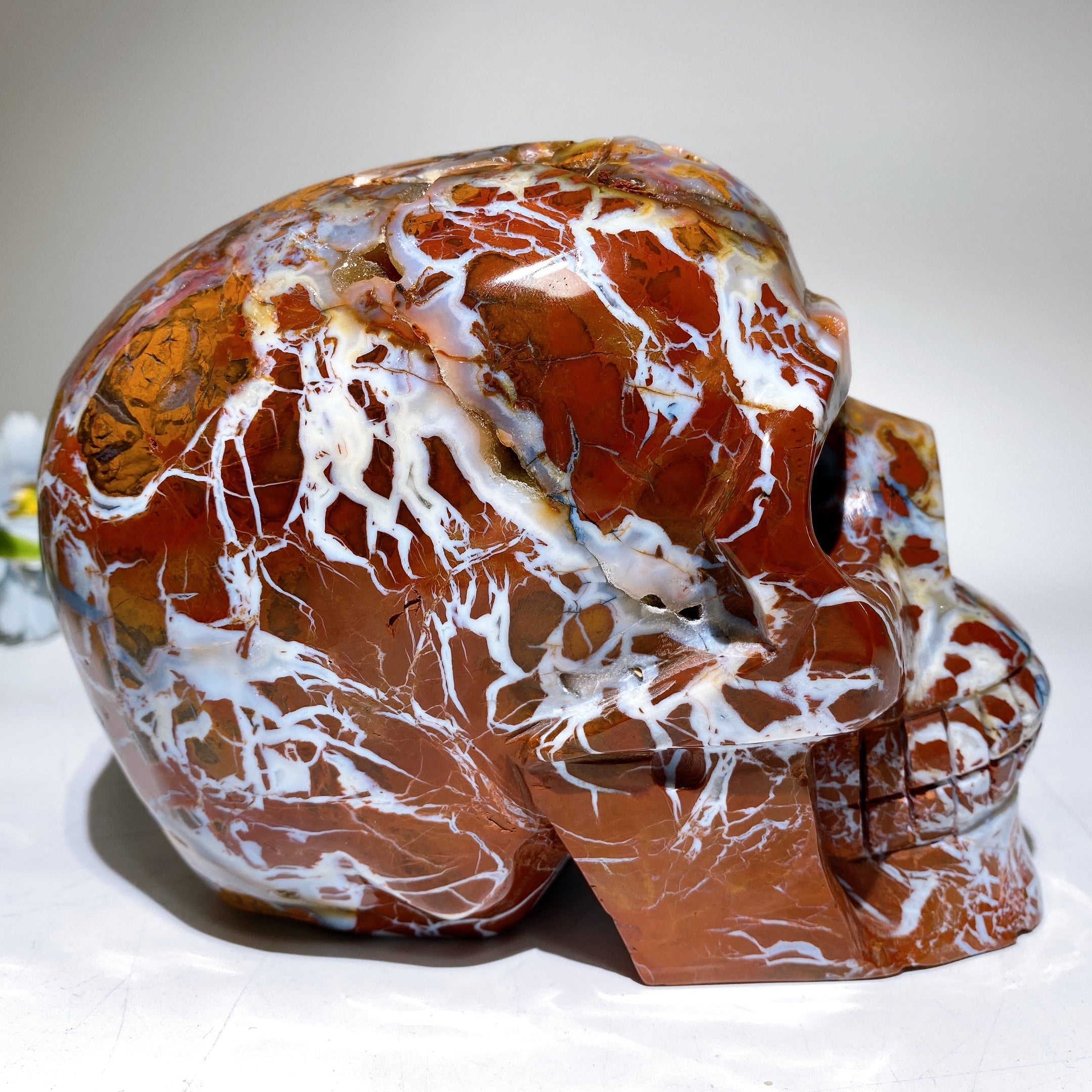 6.3 Inch Brecciated Agate Skull Crystal Figurine