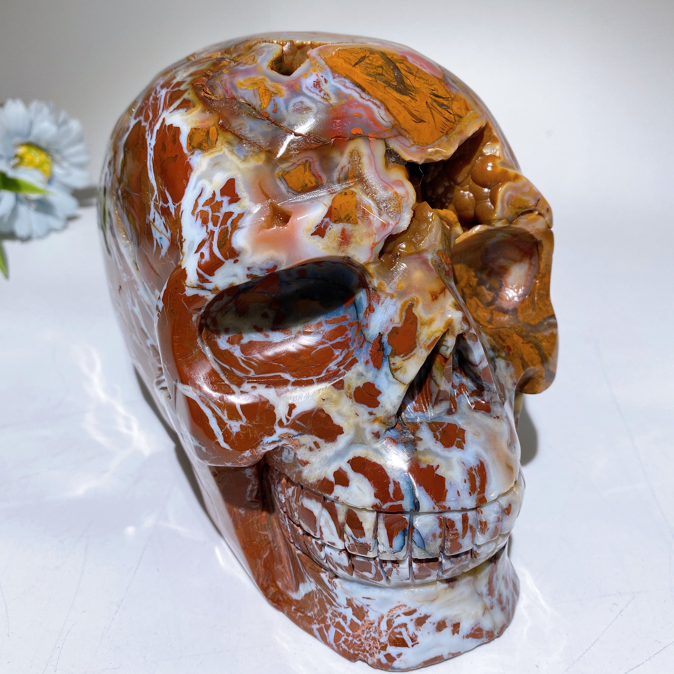 6.3 Inch Brecciated Agate Skull Crystal Figurine