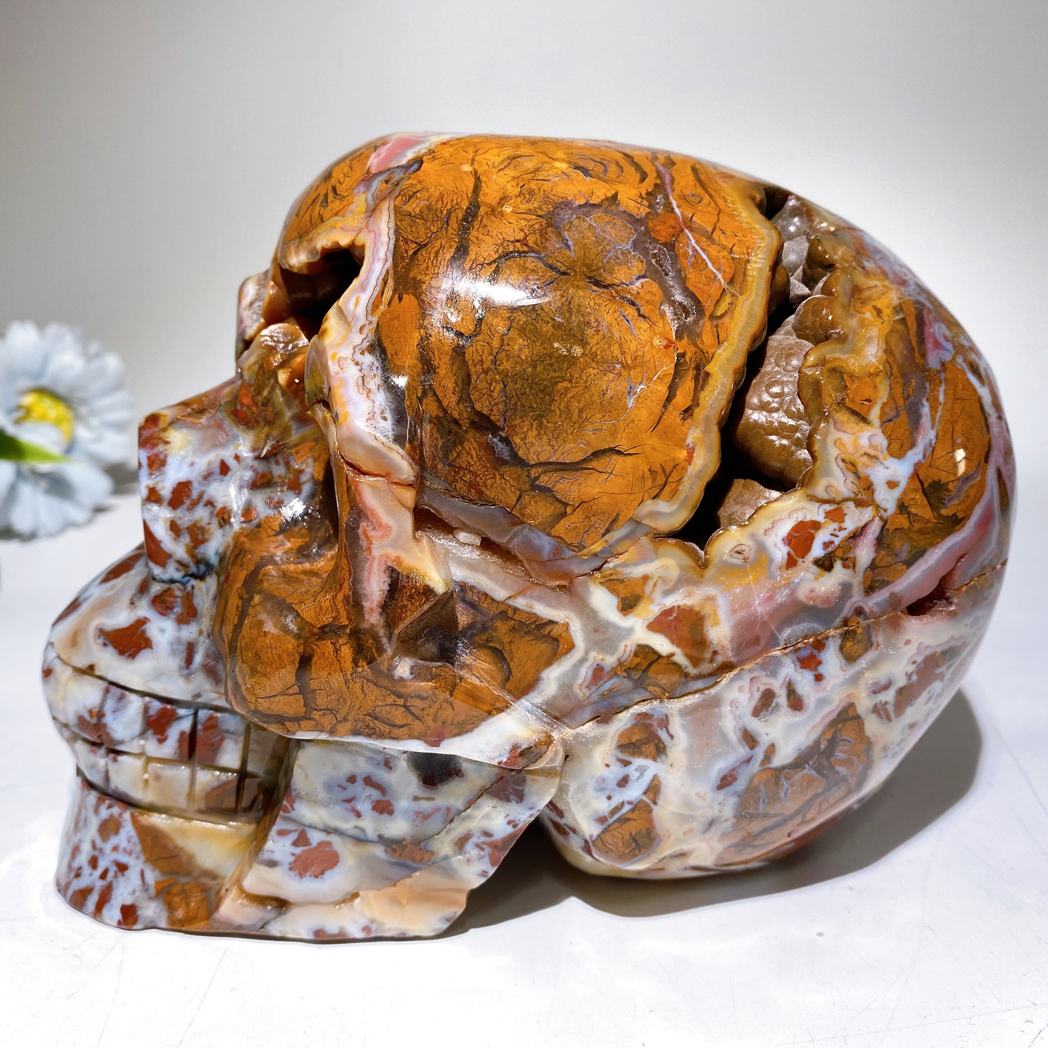 6.3 Inch Brecciated Agate Skull Crystal Figurine