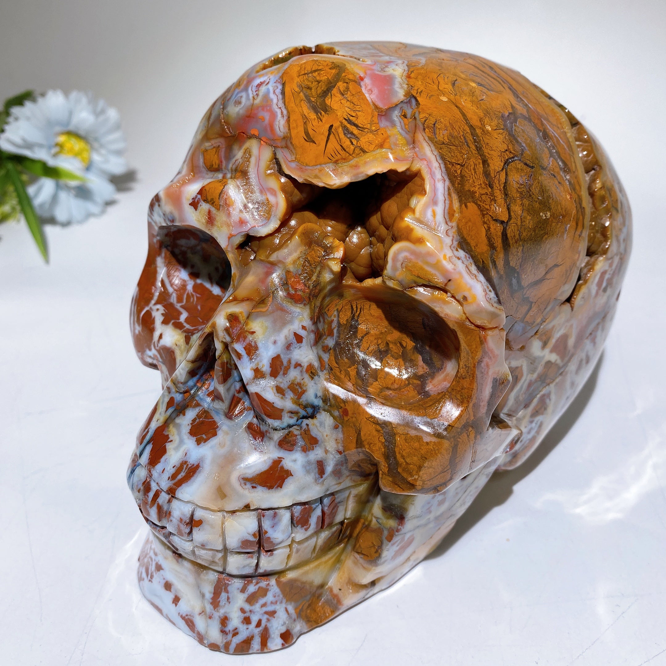 6.3 Inch Brecciated Agate Skull Crystal Figurine