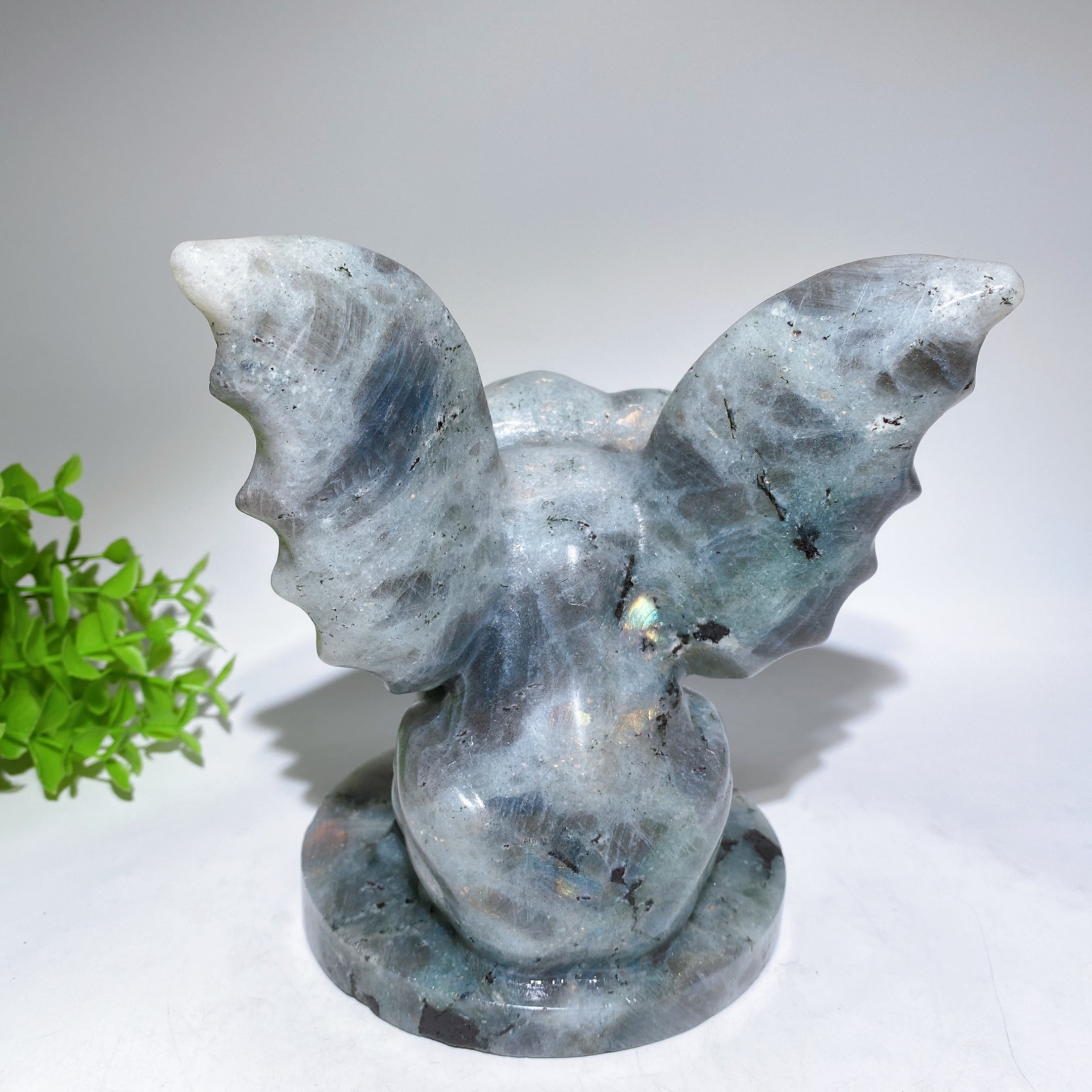 6.5" Labradorite Gargoyle Crystal Carving for Spiritual Healing