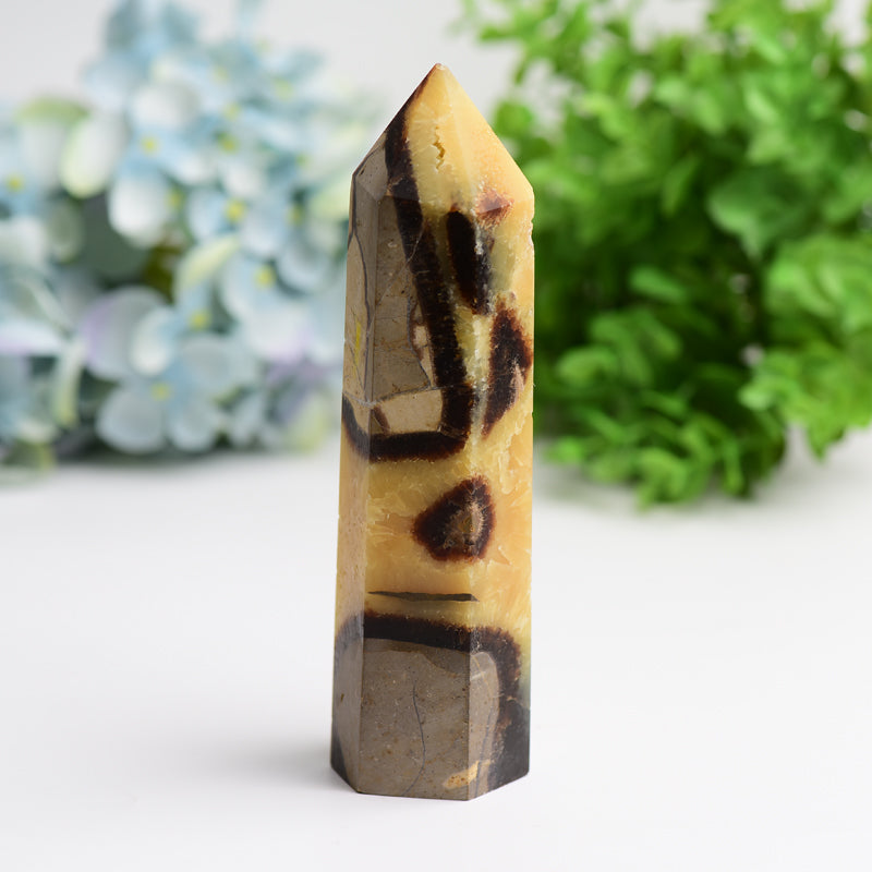 6 to 8 Inch Septarium Crystal Tower for Energy Healing