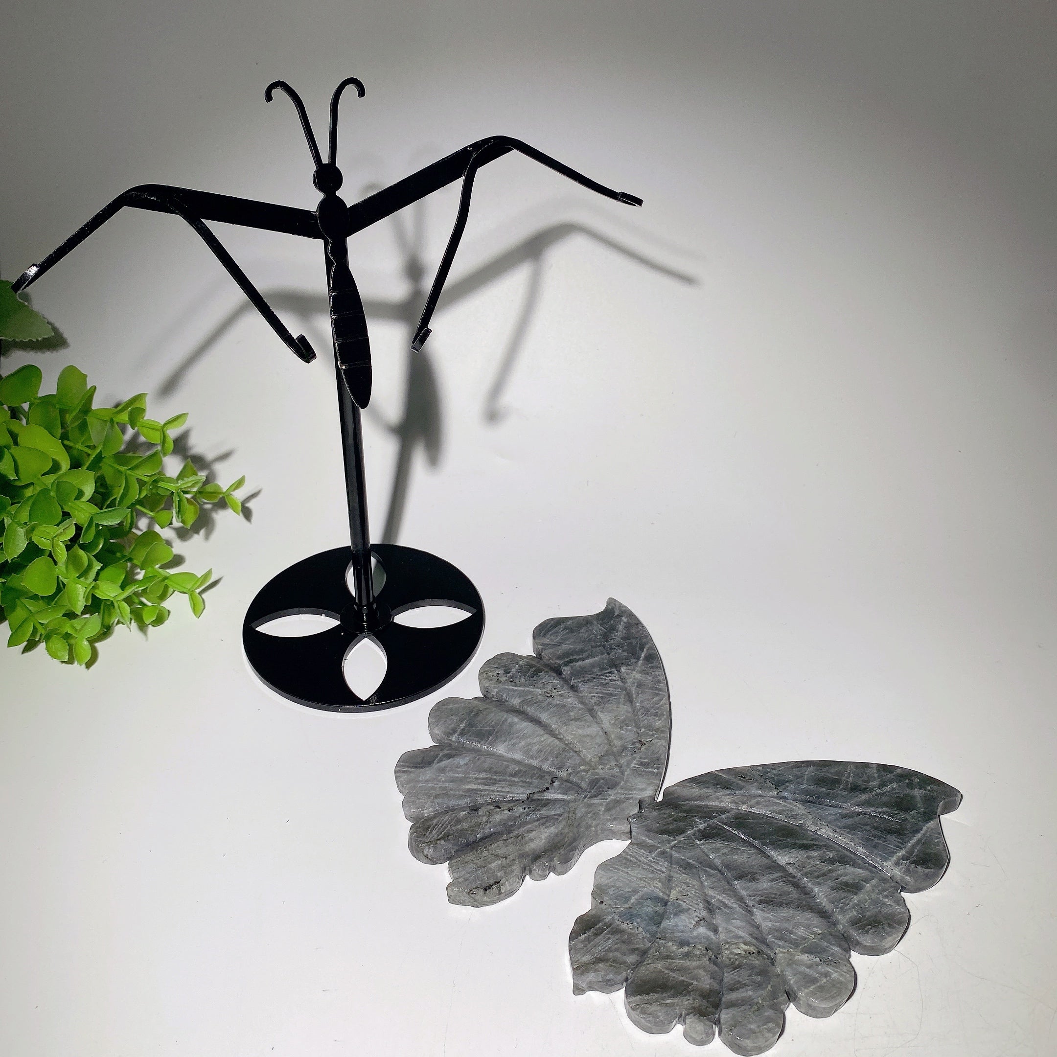 6-inch Labradorite Butterfly Wings Crystal Display Stand