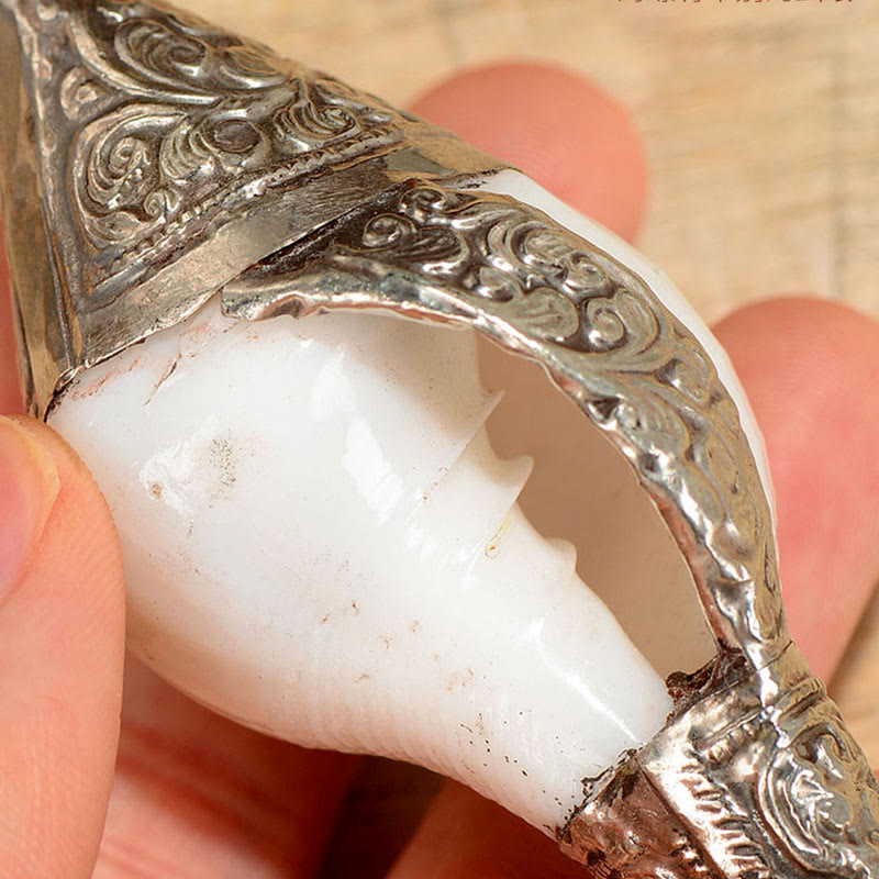 Tibetan Natural Shankha Conch Shell Dragon Decoration