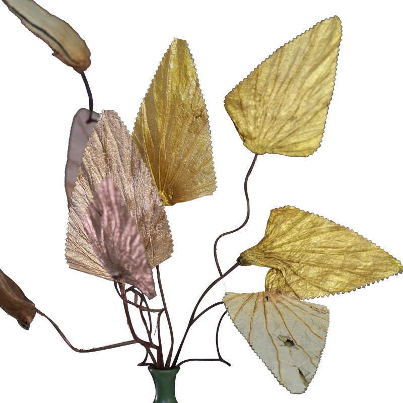 Dried Lotus Leaf Bouquet for Zen Home Decor Accent