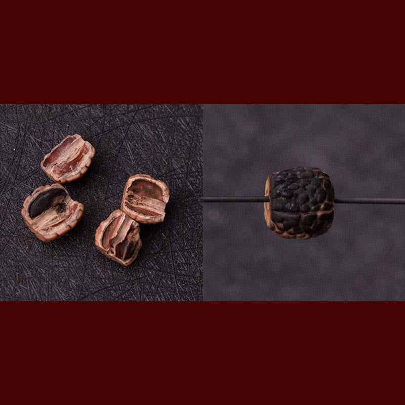 Tibet 108 Beads Bodhi Seed Zodiac Charm Mala Bracelet