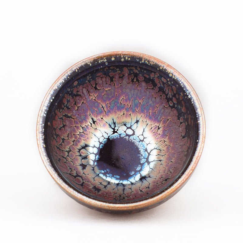 Tenmoku Jian Zhan Ceramic Tea Cup with Succulent Pattern 9cm x 5cm