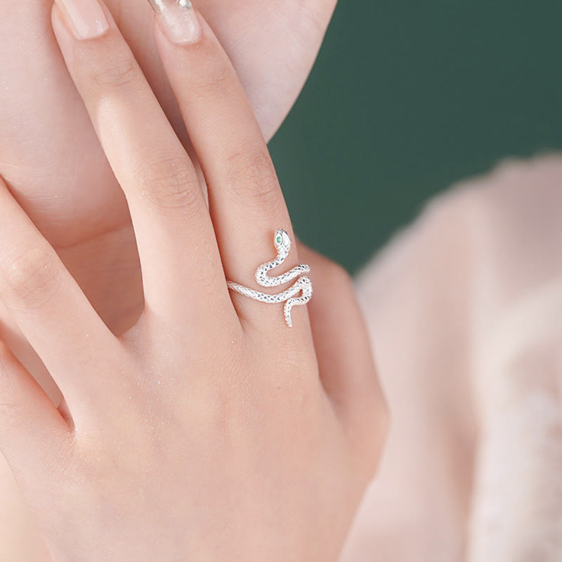 925 Sterling Silver Year of the Snake Jewelry Set for Calm & Balance