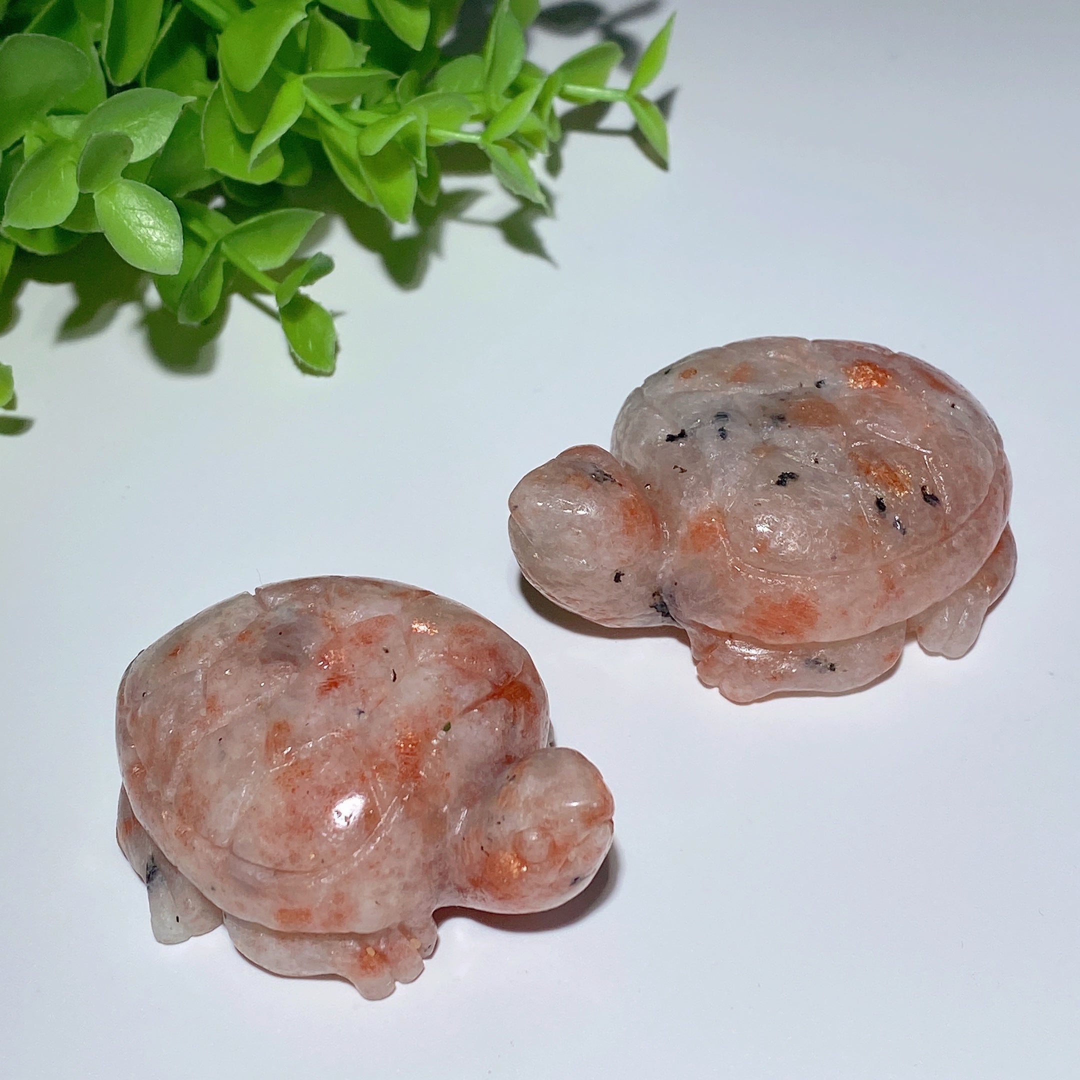Golden Strawberry Quartz Crystal Turtle 2.3-2.5in for Prosperity