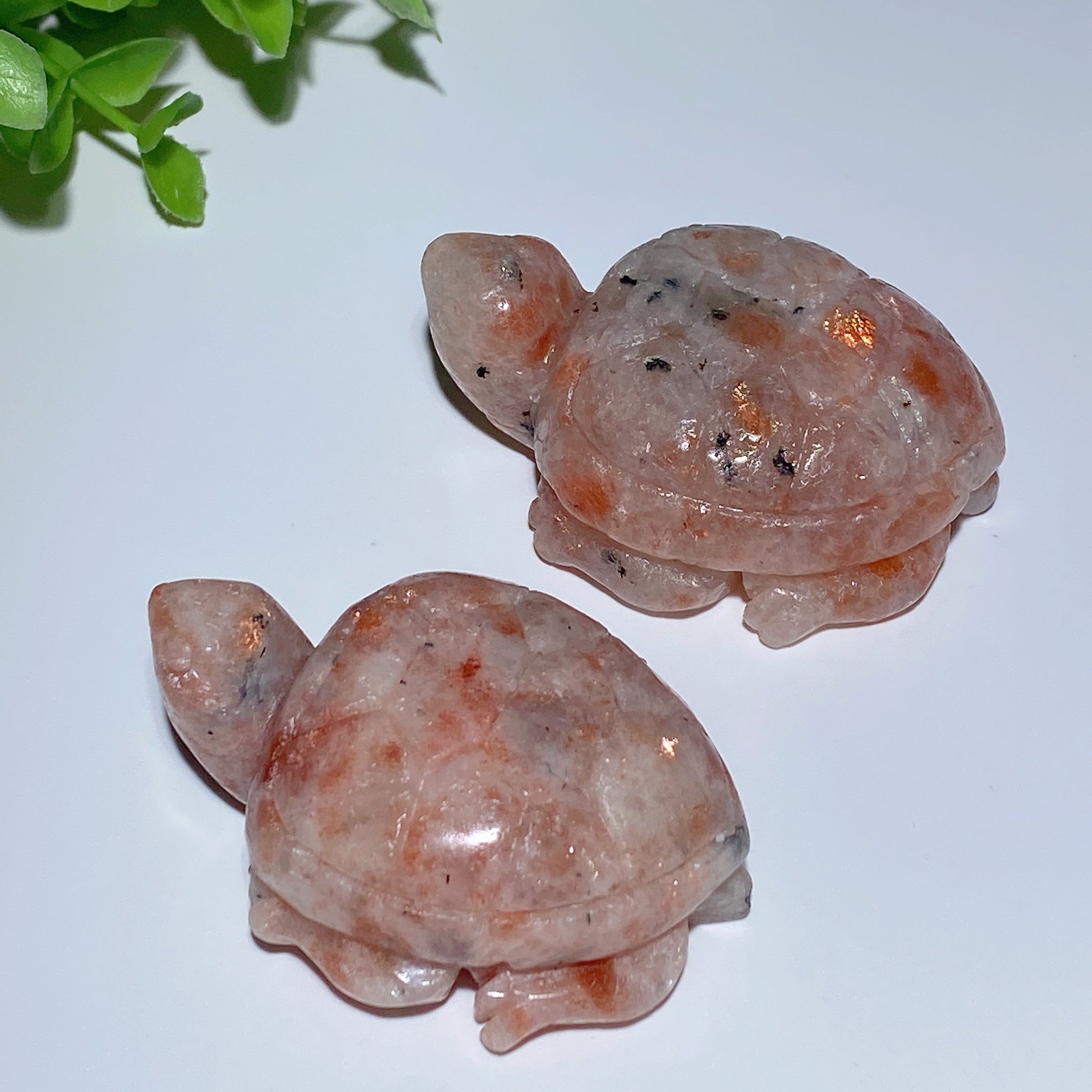 Golden Strawberry Quartz Crystal Turtle 2.3-2.5in for Prosperity