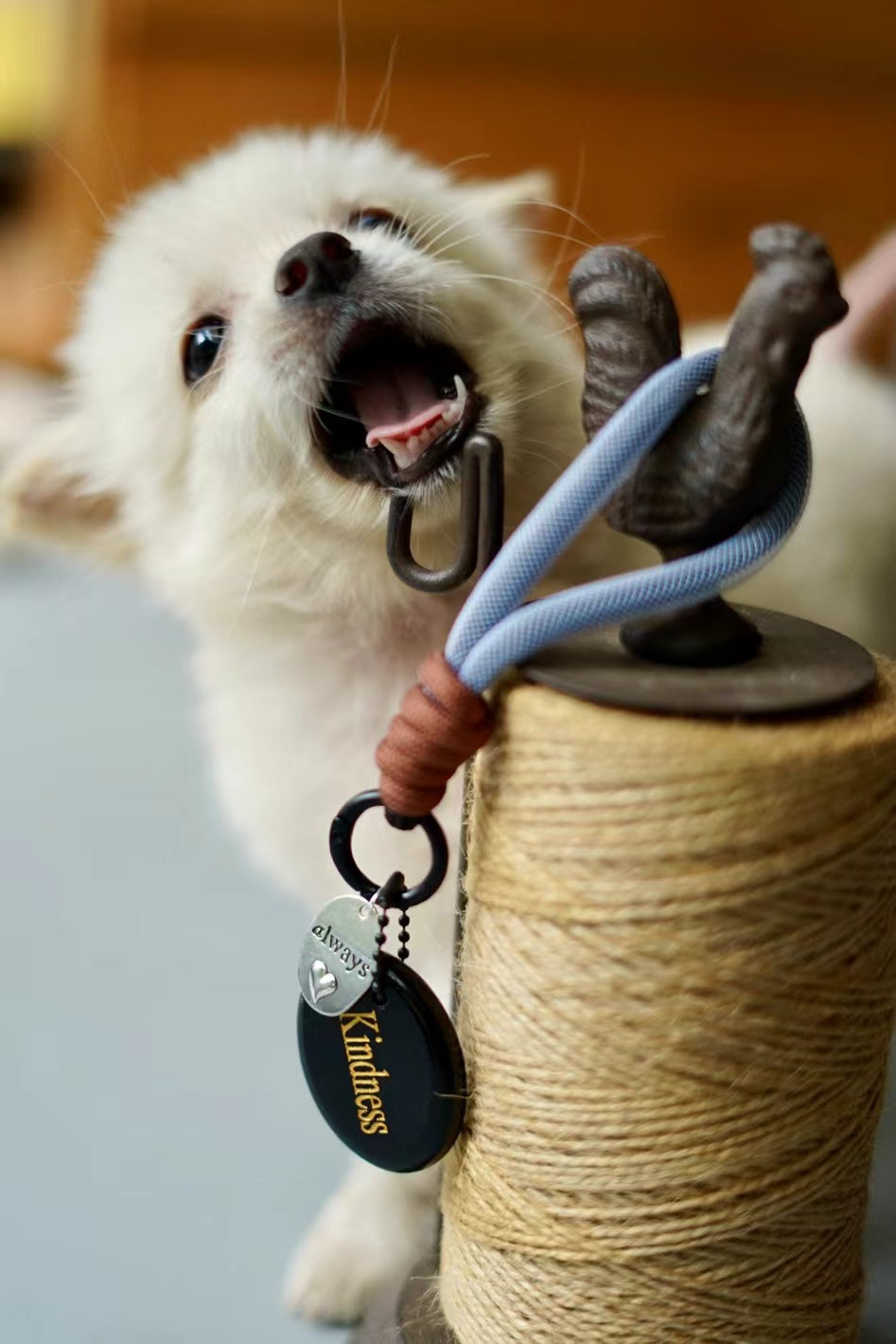 Adjustable Crystal Key Ring Set for Car Mirror Charm Collection