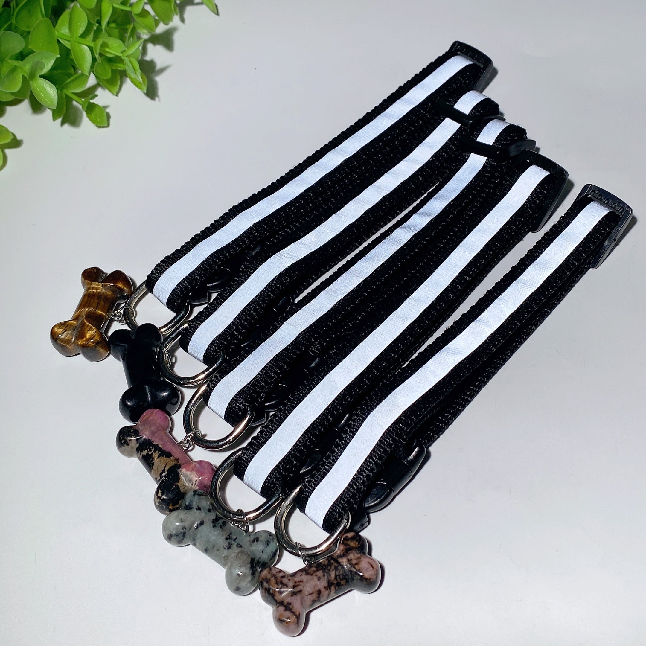 Adjustable Multicolor Dog Collar with Crystal Bone or Paw Charm