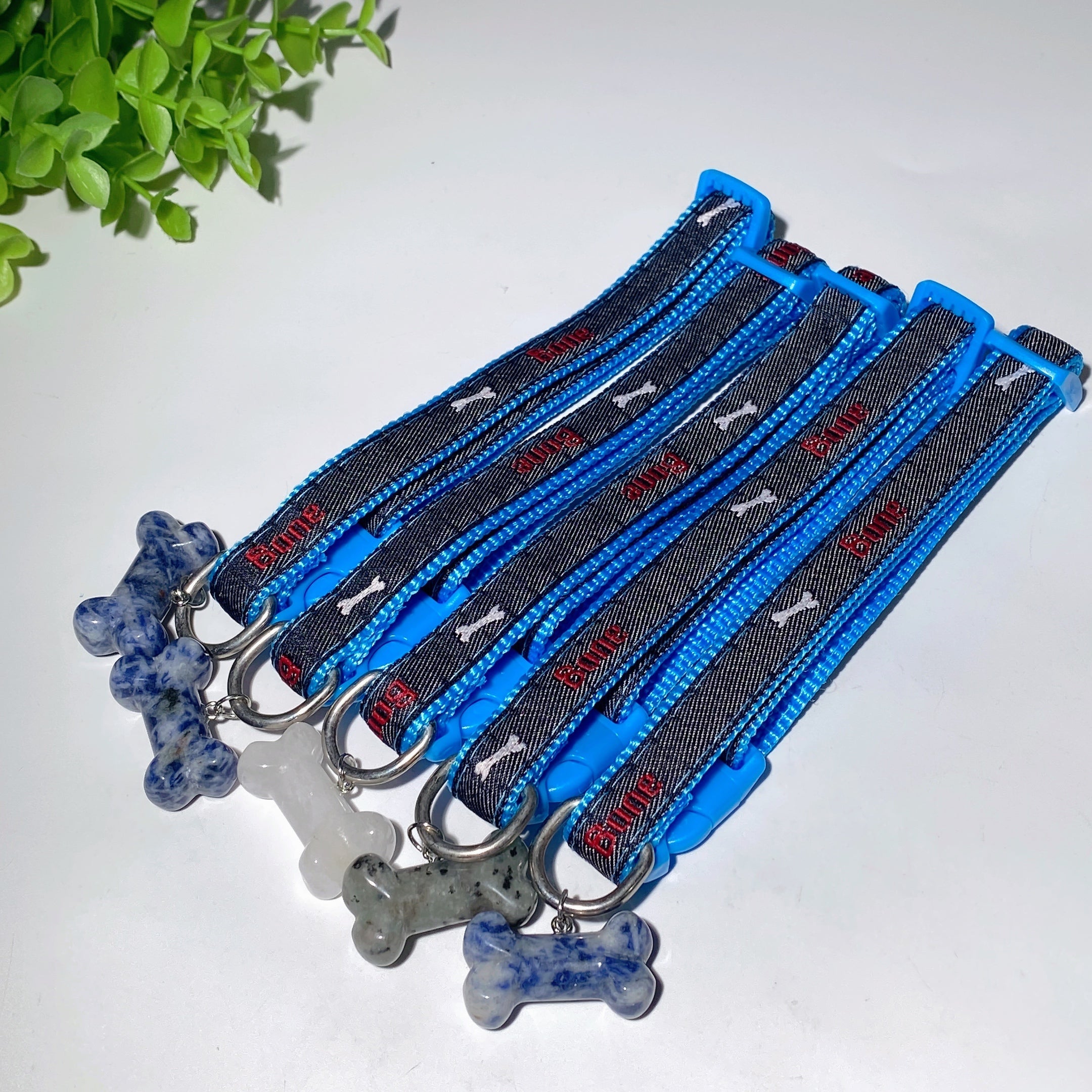 Adjustable Multicolor Dog Collar with Crystal Bone or Paw Charm