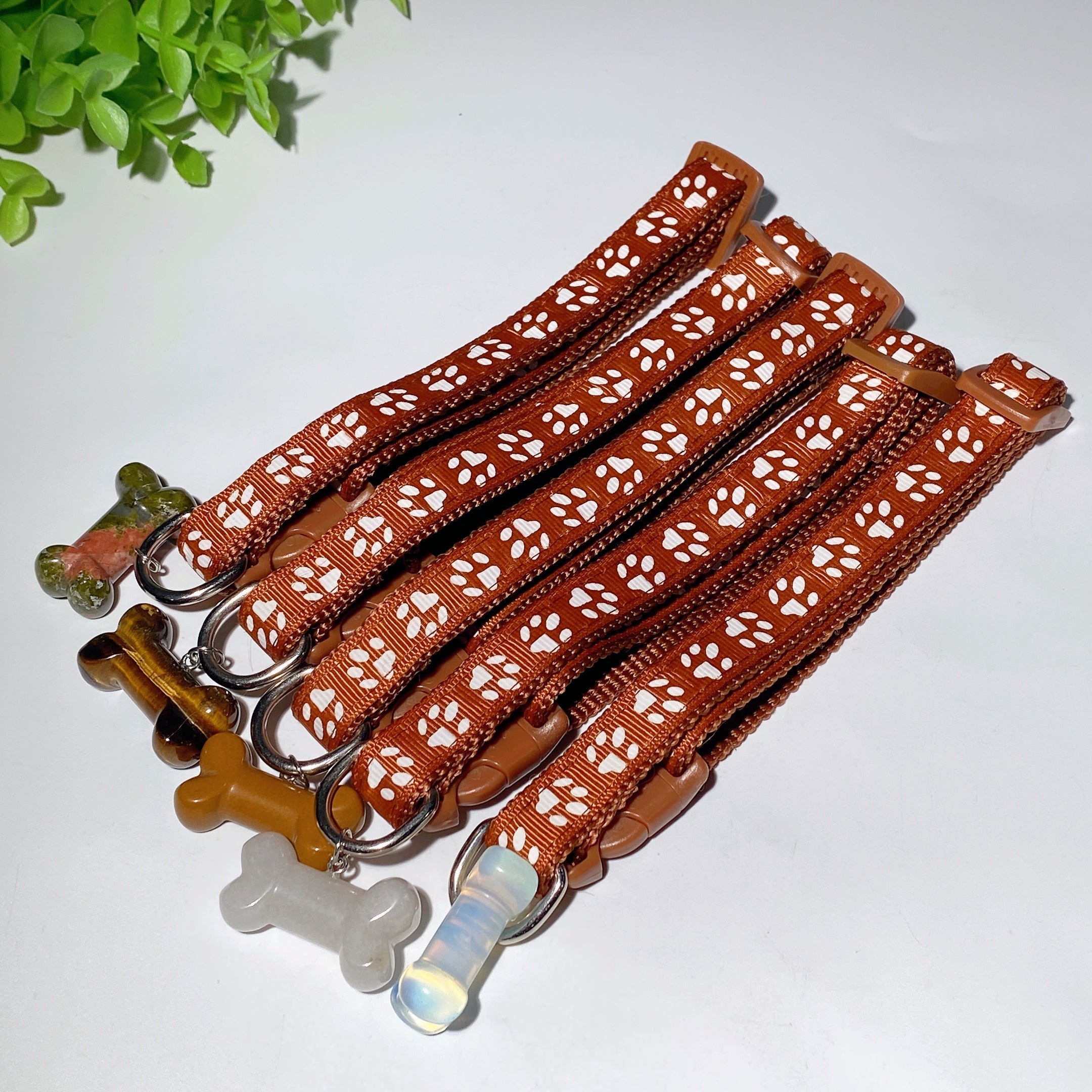 Adjustable Multicolor Dog Collar with Crystal Bone or Paw Charm