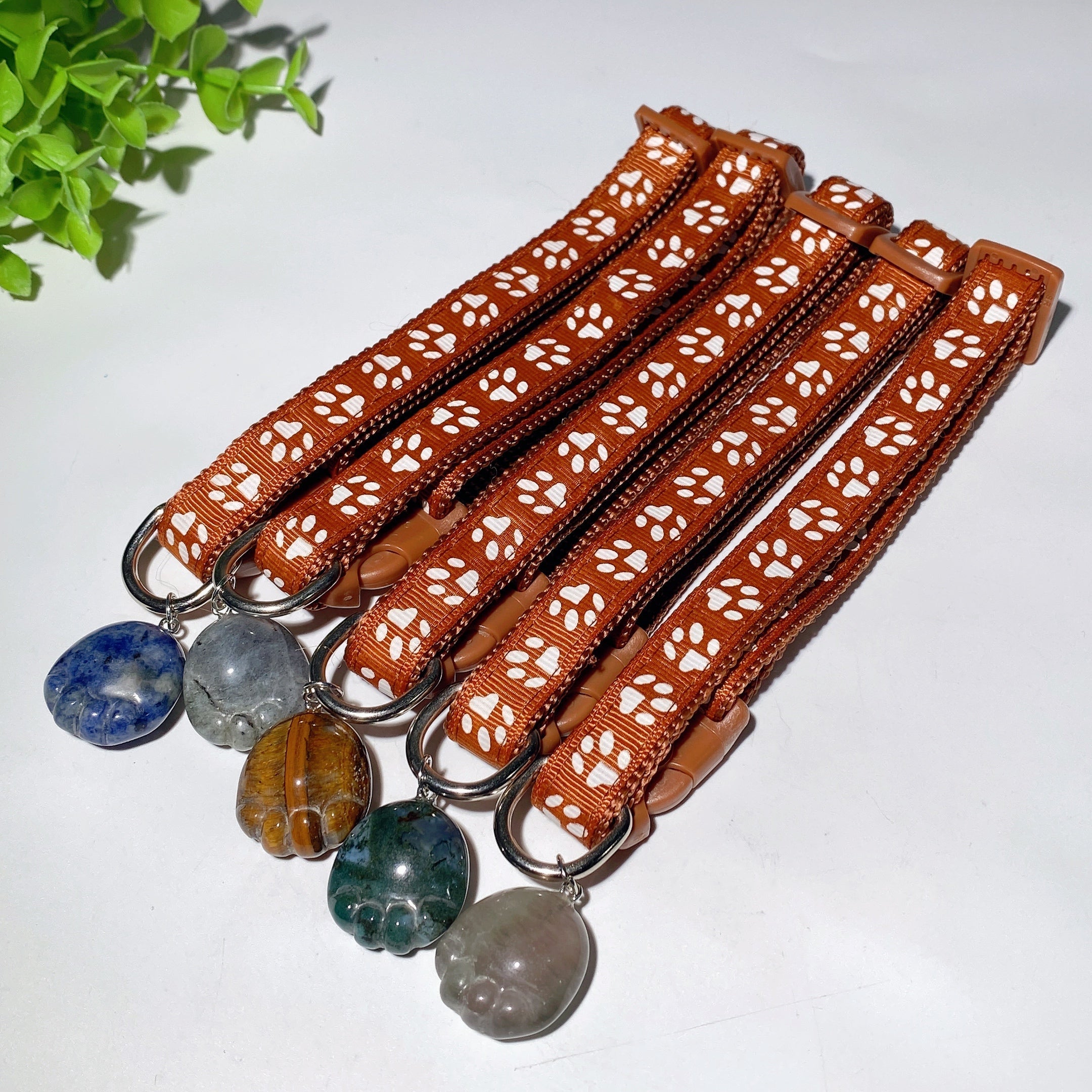 Adjustable Multicolor Dog Collar with Crystal Bone or Paw Charm