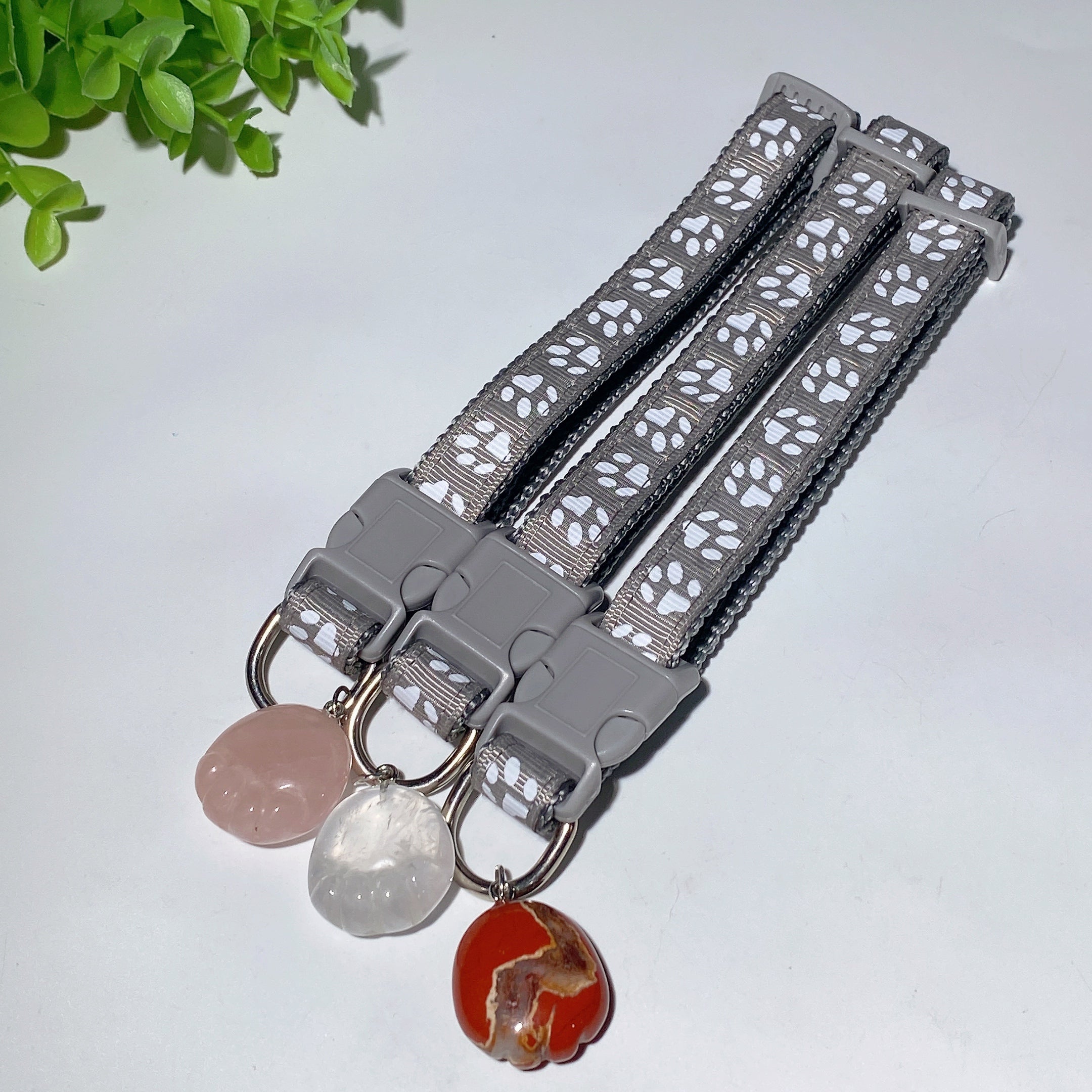 Adjustable Multicolor Dog Collar with Crystal Bone or Paw Charm