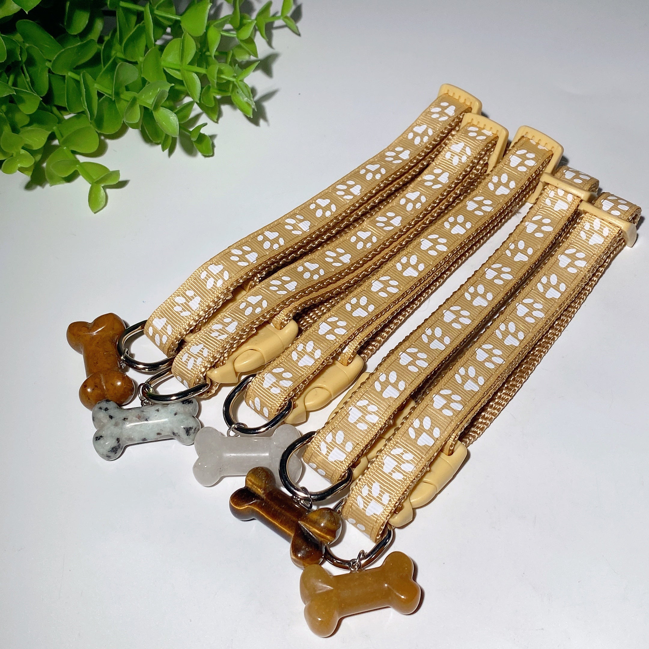 Adjustable Multicolor Dog Collar with Crystal Bone or Paw Charm