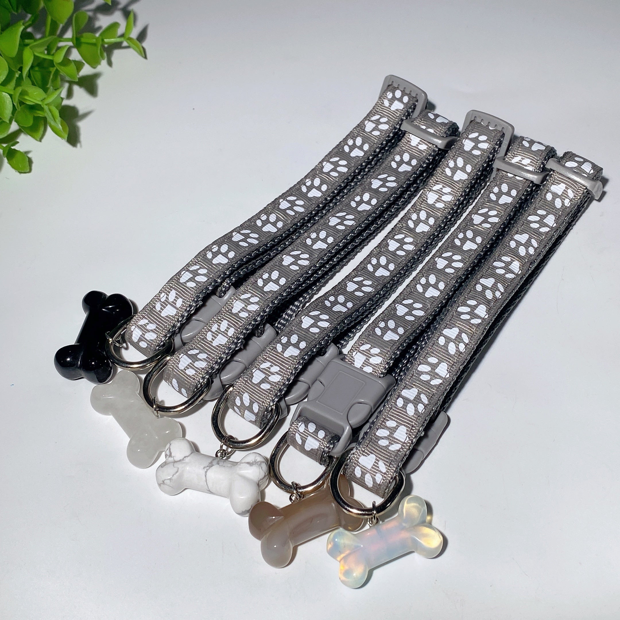 Adjustable Multicolor Dog Collar with Crystal Bone or Paw Charm
