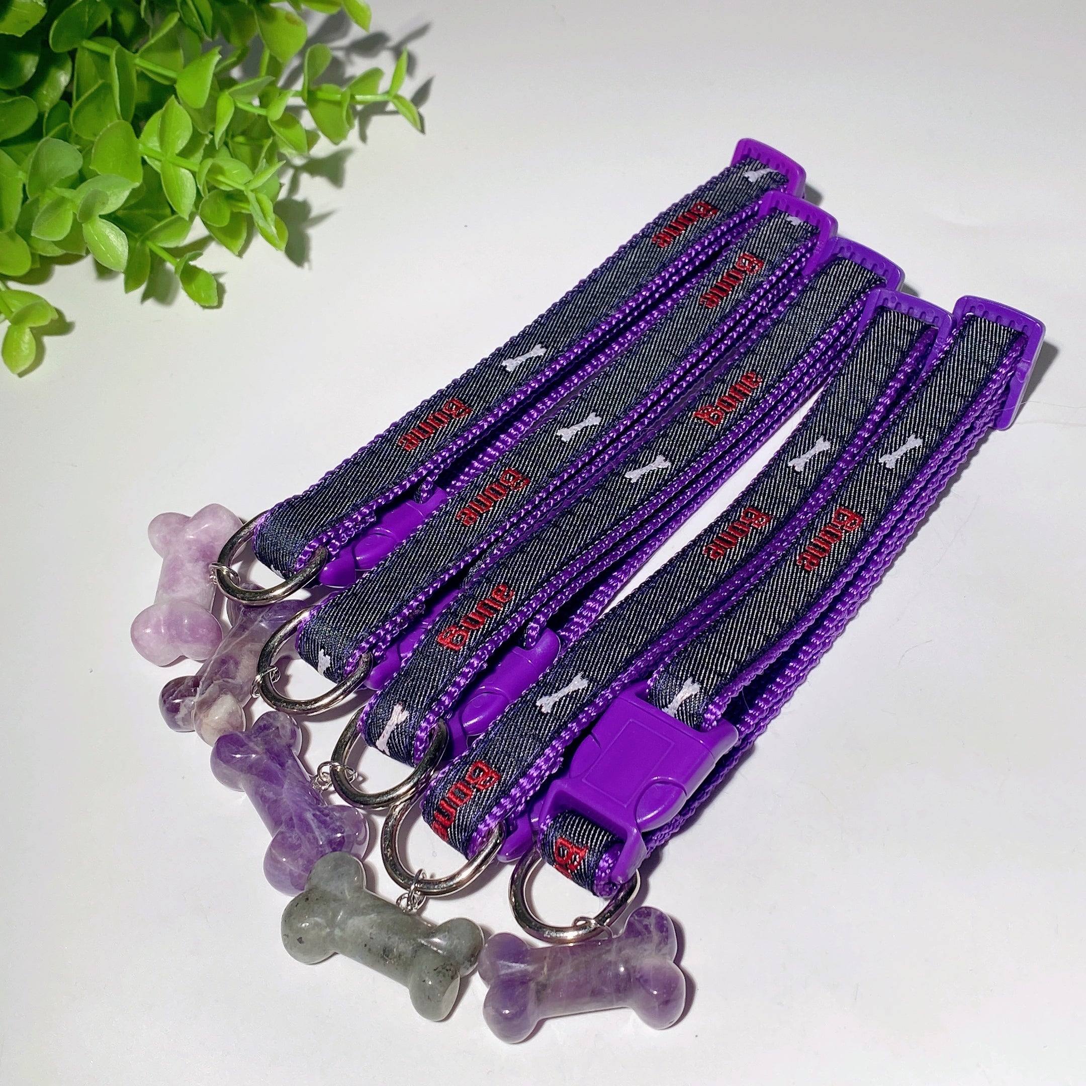 Adjustable Multicolor Dog Collar with Crystal Bone or Paw Charm