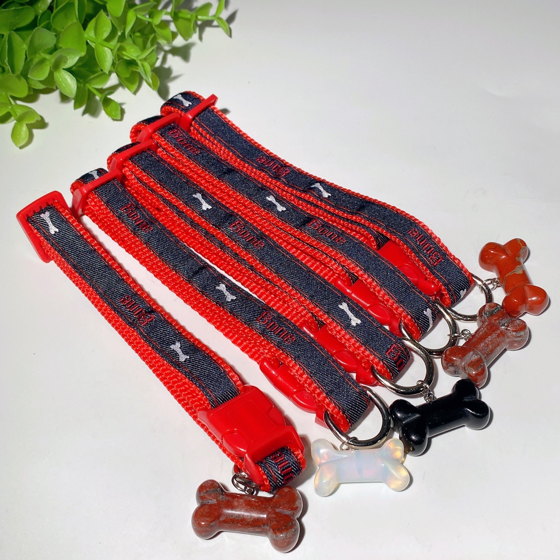 Adjustable Multicolor Dog Collar with Crystal Bone or Paw Charm