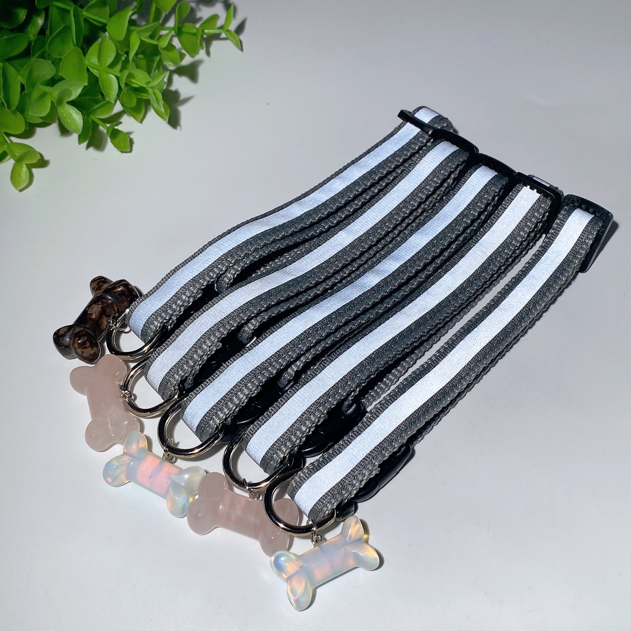 Adjustable Multicolor Dog Collar with Crystal Bone or Paw Charm