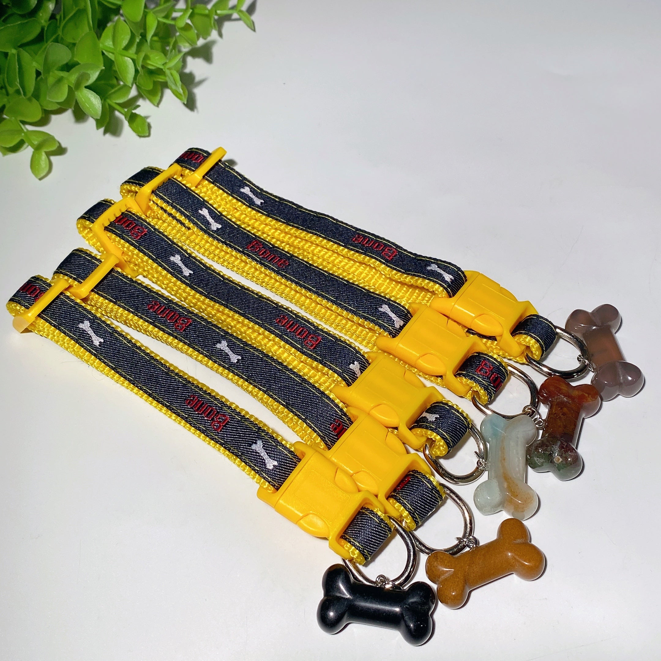 Adjustable Multicolor Dog Collar with Crystal Bone or Paw Charm