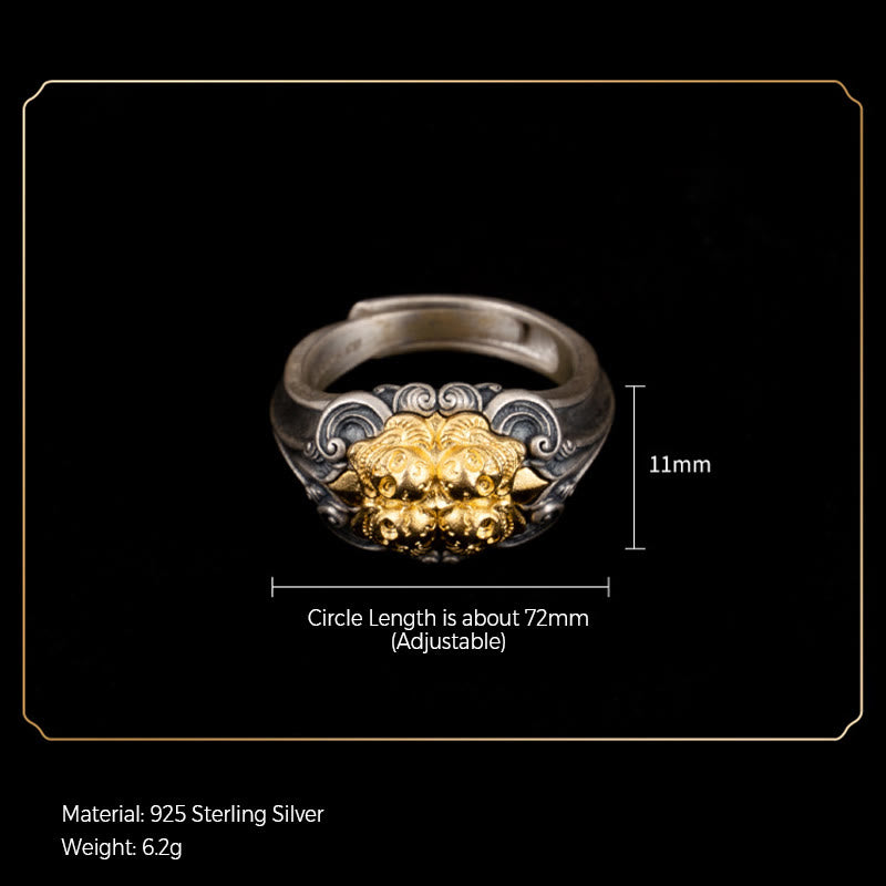 Sterling Silver Tibetan Skull Protection Ring Adjustable