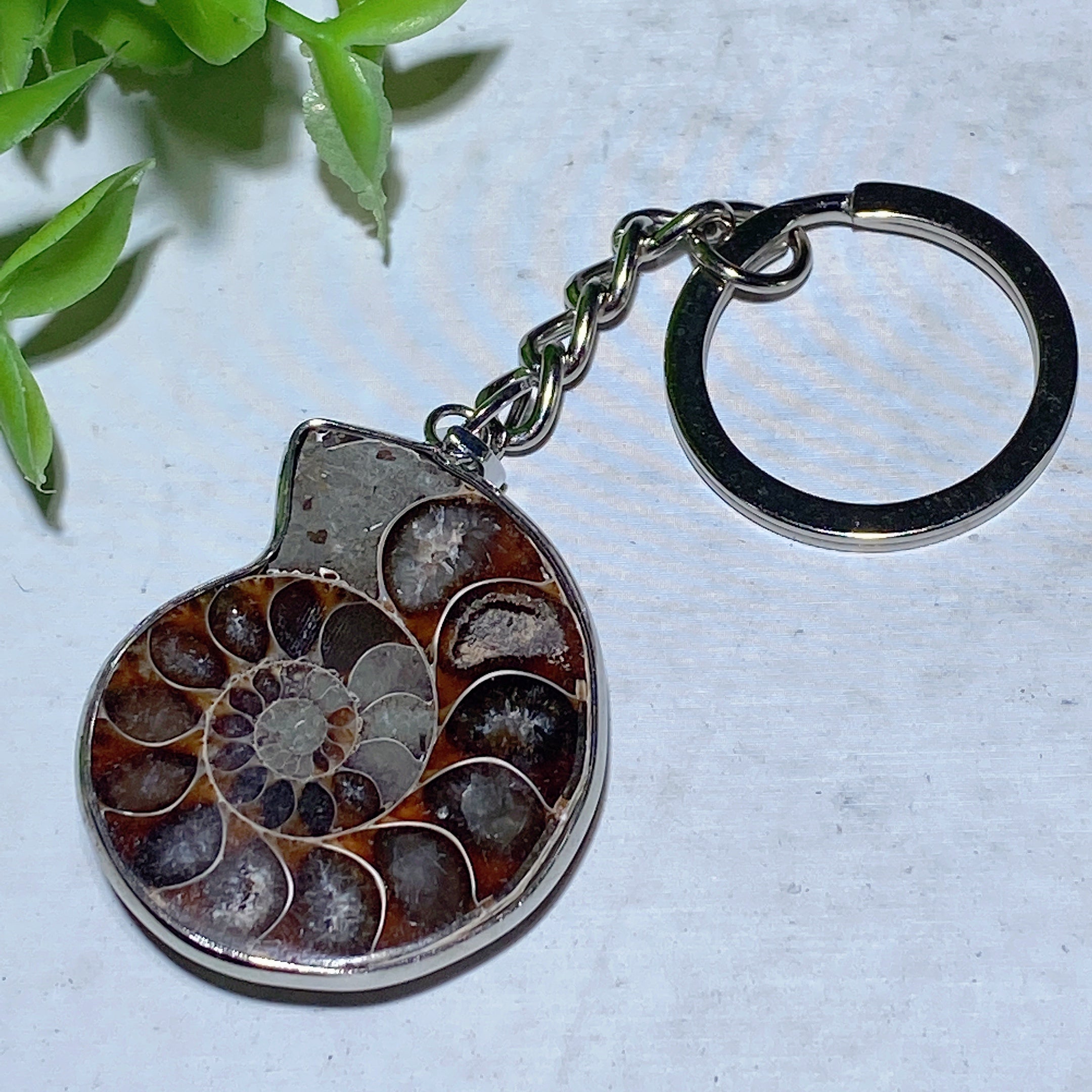 Ammonite Crystal Pendant | Spiritual Healing Necklace 85-100mm