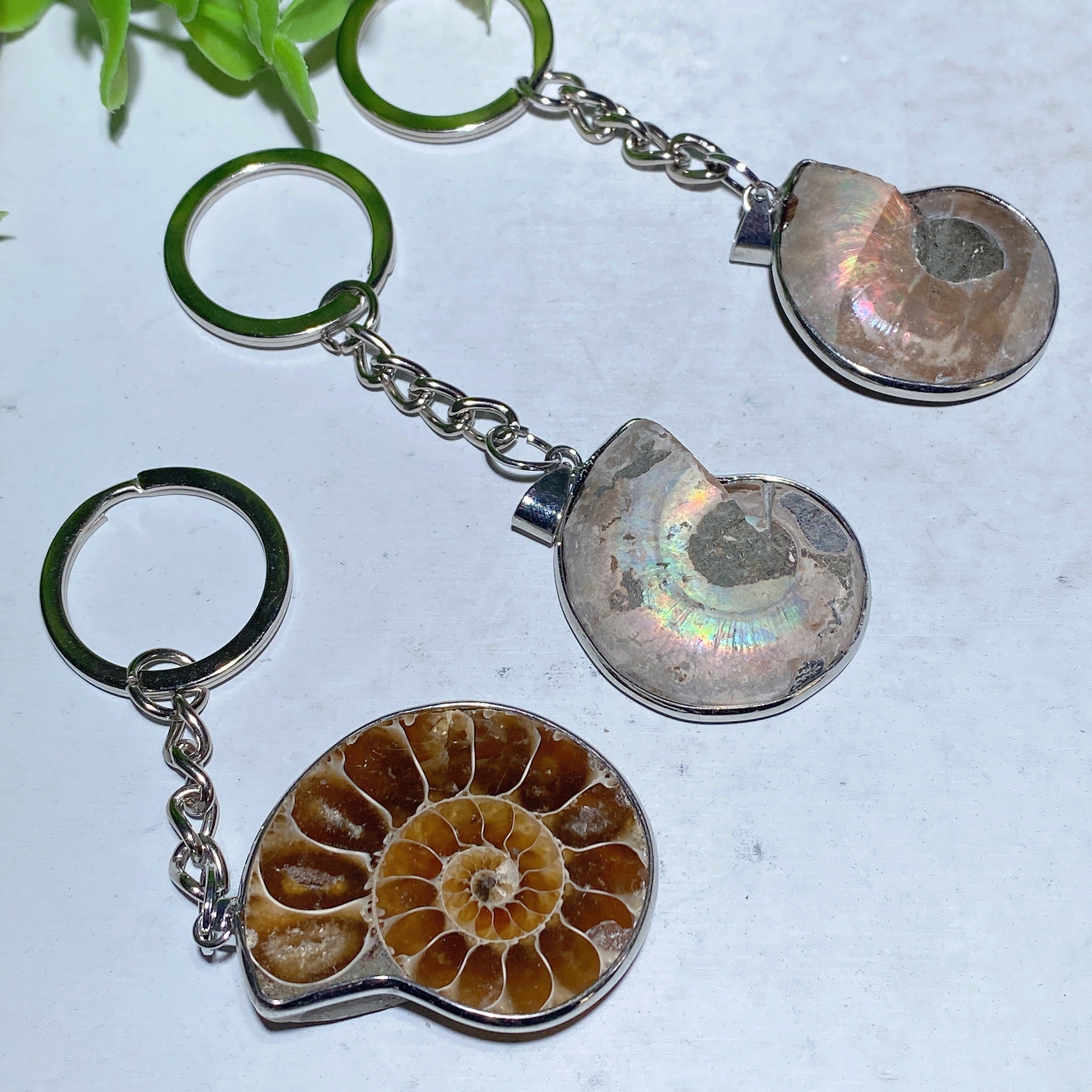 Ammonite Crystal Pendant | Spiritual Healing Necklace 85-100mm