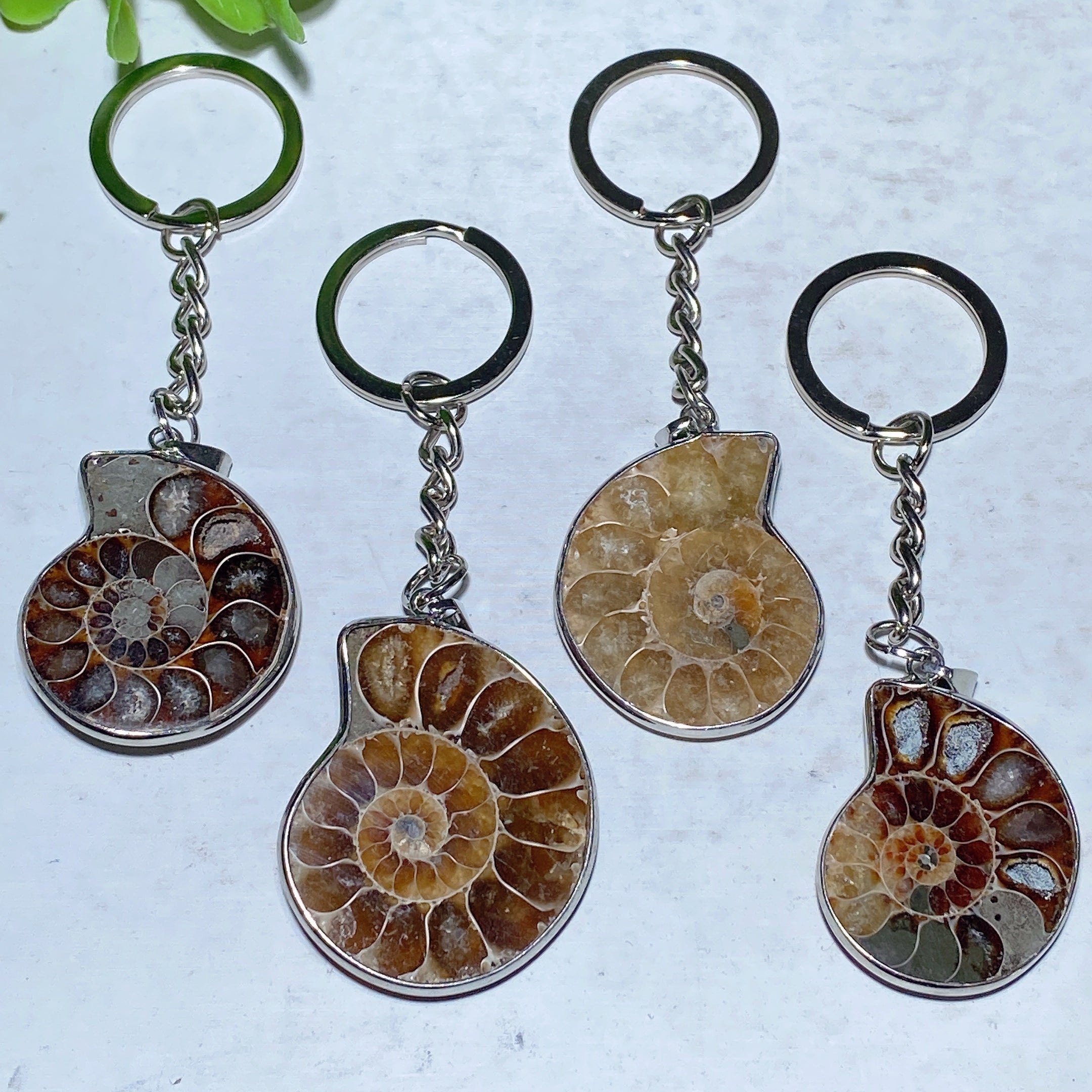 Ammonite Crystal Pendant | Spiritual Healing Necklace 85-100mm