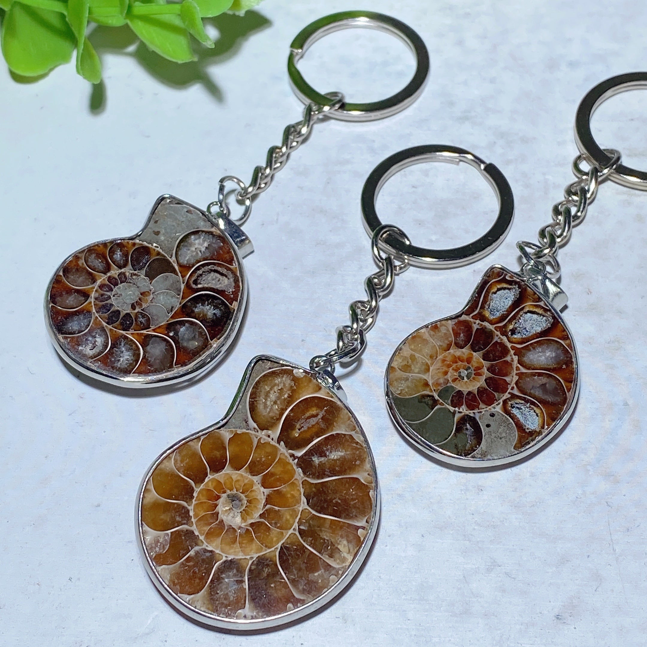 Ammonite Crystal Pendant | Spiritual Healing Necklace 85-100mm