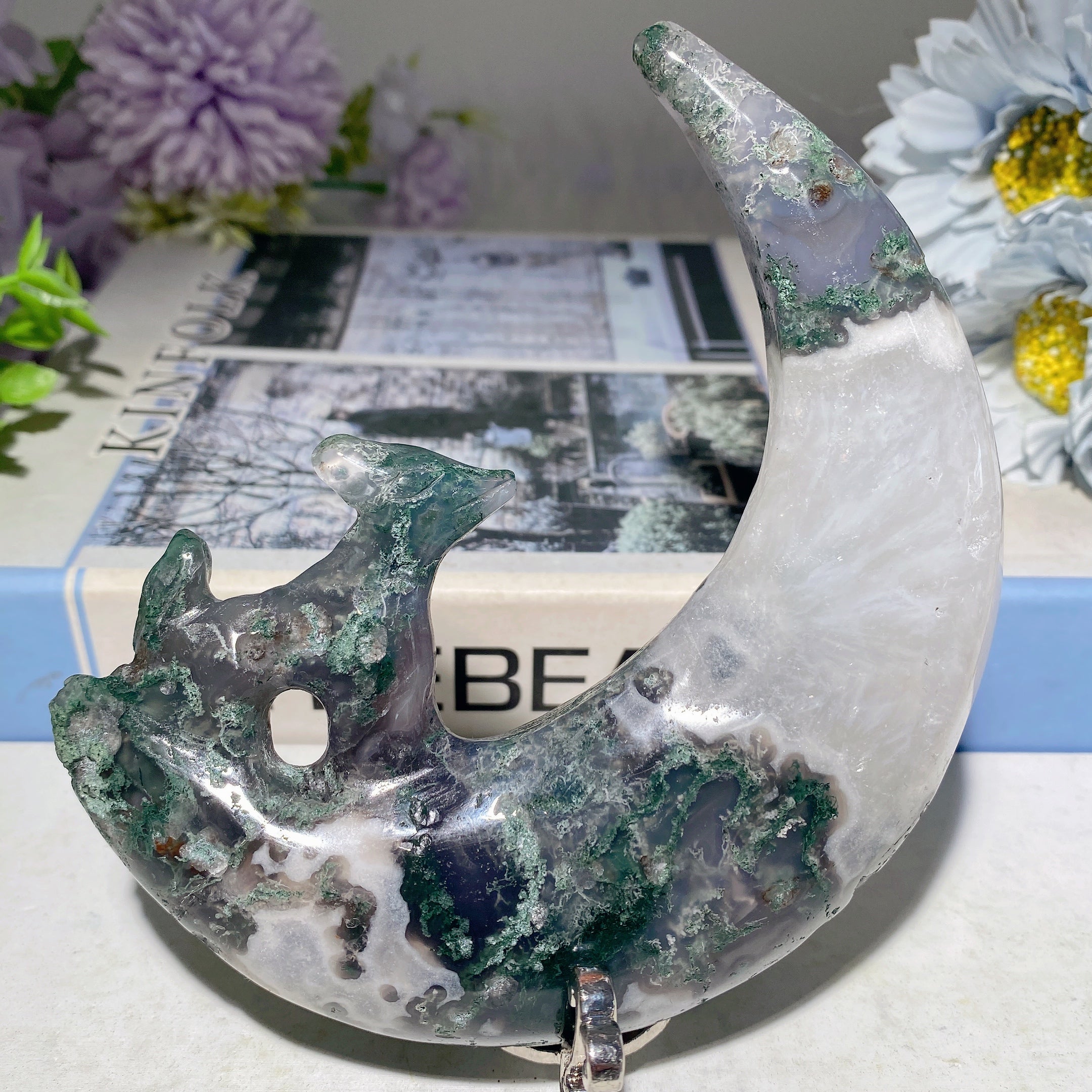Blood Stone Fox Crystal Carving 4.8-6.0 inch Healing Sculpture