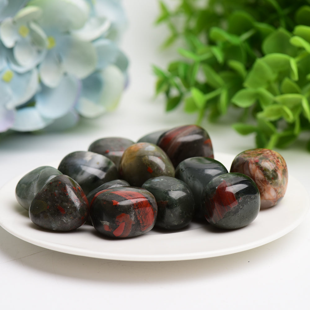 Blood Stone Tumbled Crystal 2cm Healing Stones