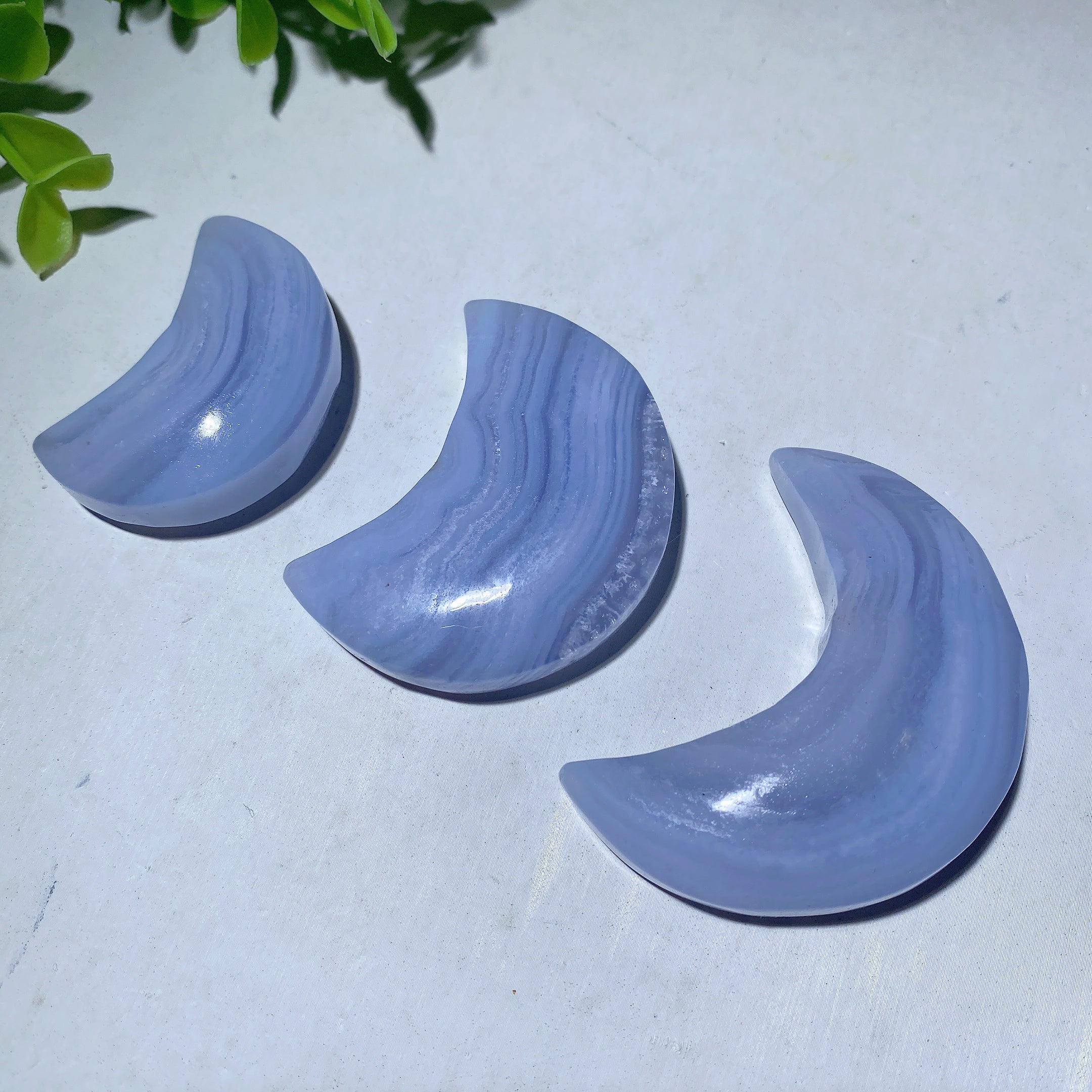 Blue Lace Agate Carvings Crystal Shapes 1.3-4.5 Inch