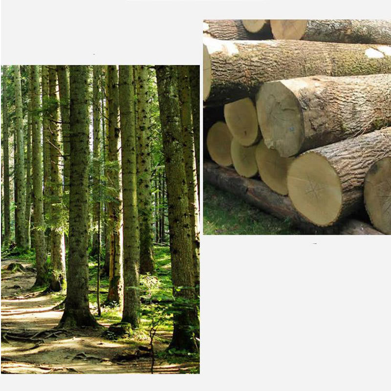 Miniature Feng Shui Wealth Luck Frog Decoration 6.5cm Wood