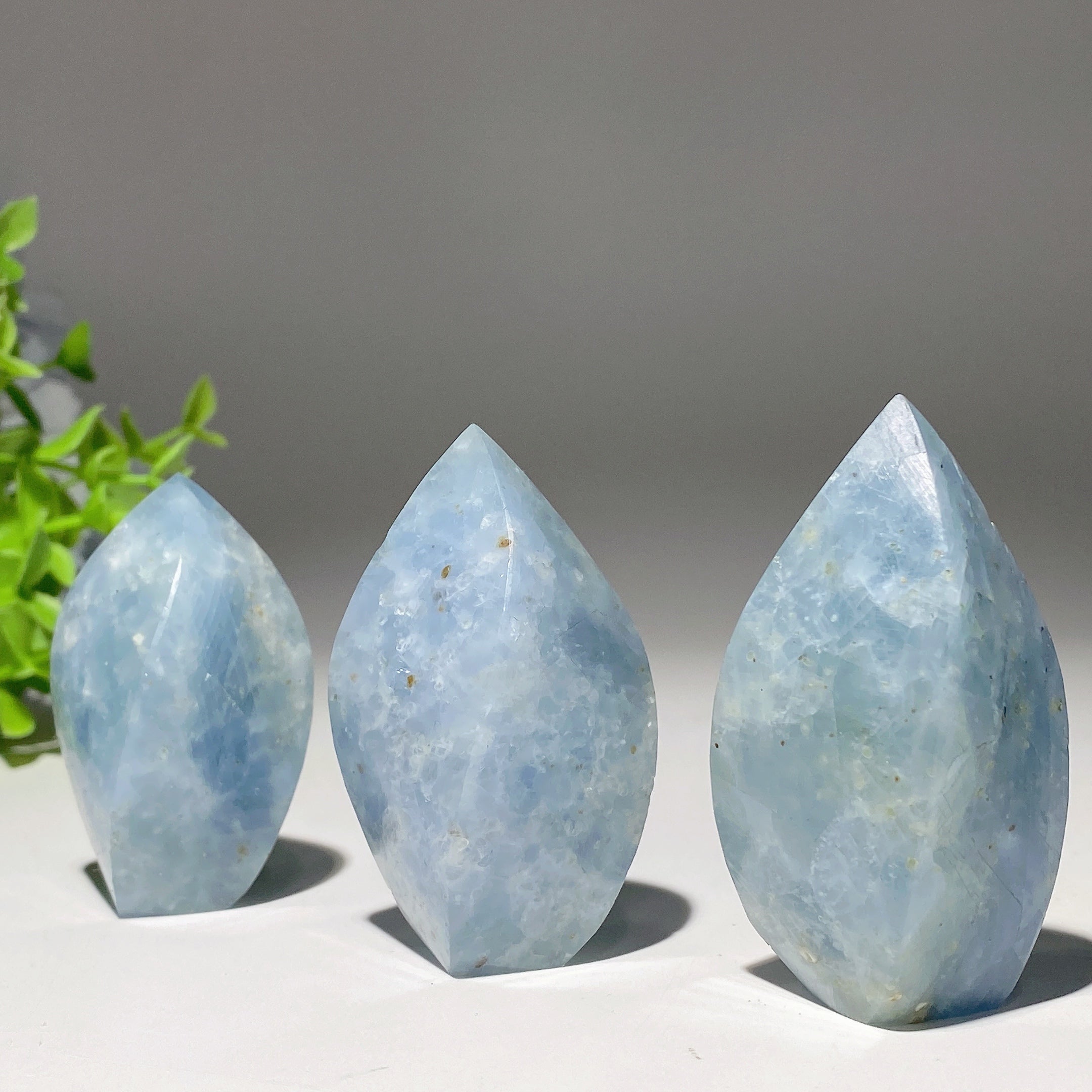 Celestite Flame Free Form Crystal 1.8-2.8 Inch Specimen