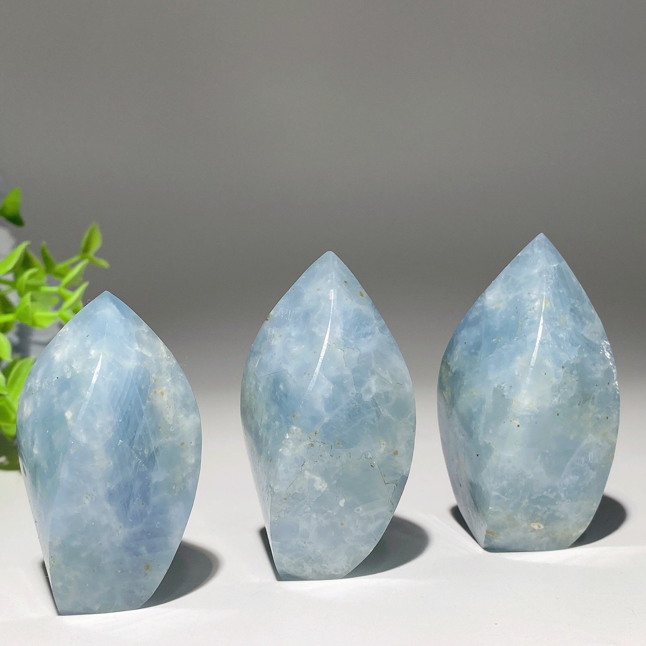 Celestite Flame Free Form Crystal 1.8-2.8 Inch Specimen