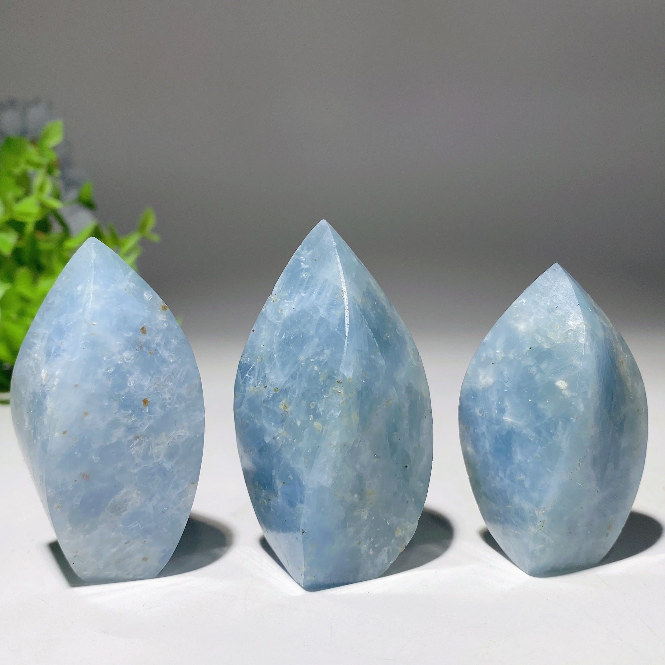 Celestite Flame Free Form Crystal 1.8-2.8 Inch Specimen