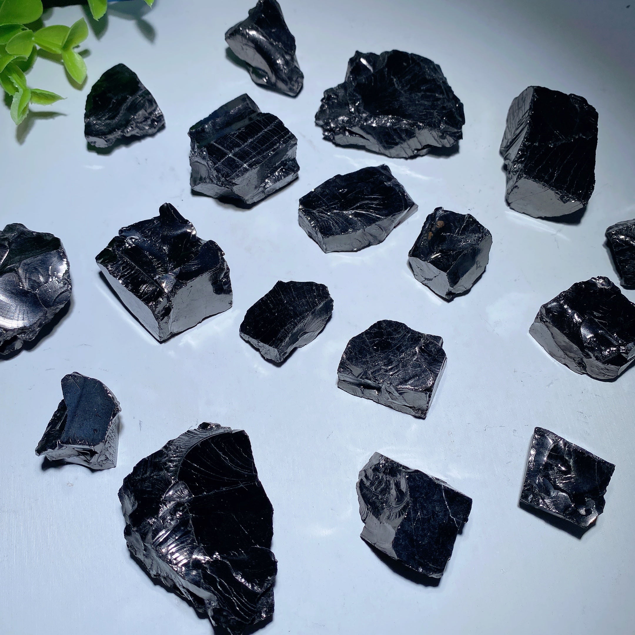 Columbia Elite Noble Schungite Raw Chunks 20-60mm Healing Stones