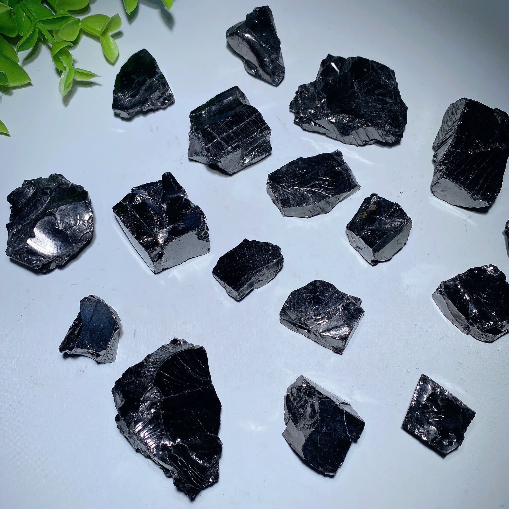 Columbia Elite Noble Schungite Raw Chunks 20-60mm Healing Stones