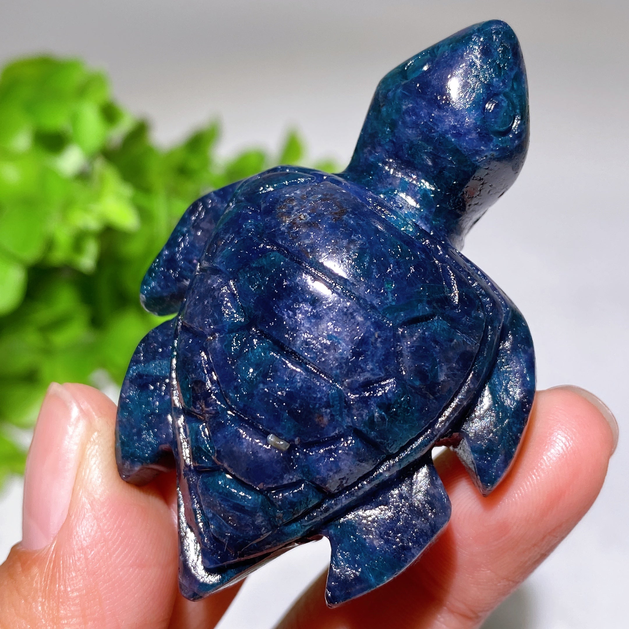 Cordierite Crystal Turtle Carving 2.2-3.2 Inches Healing Figurine