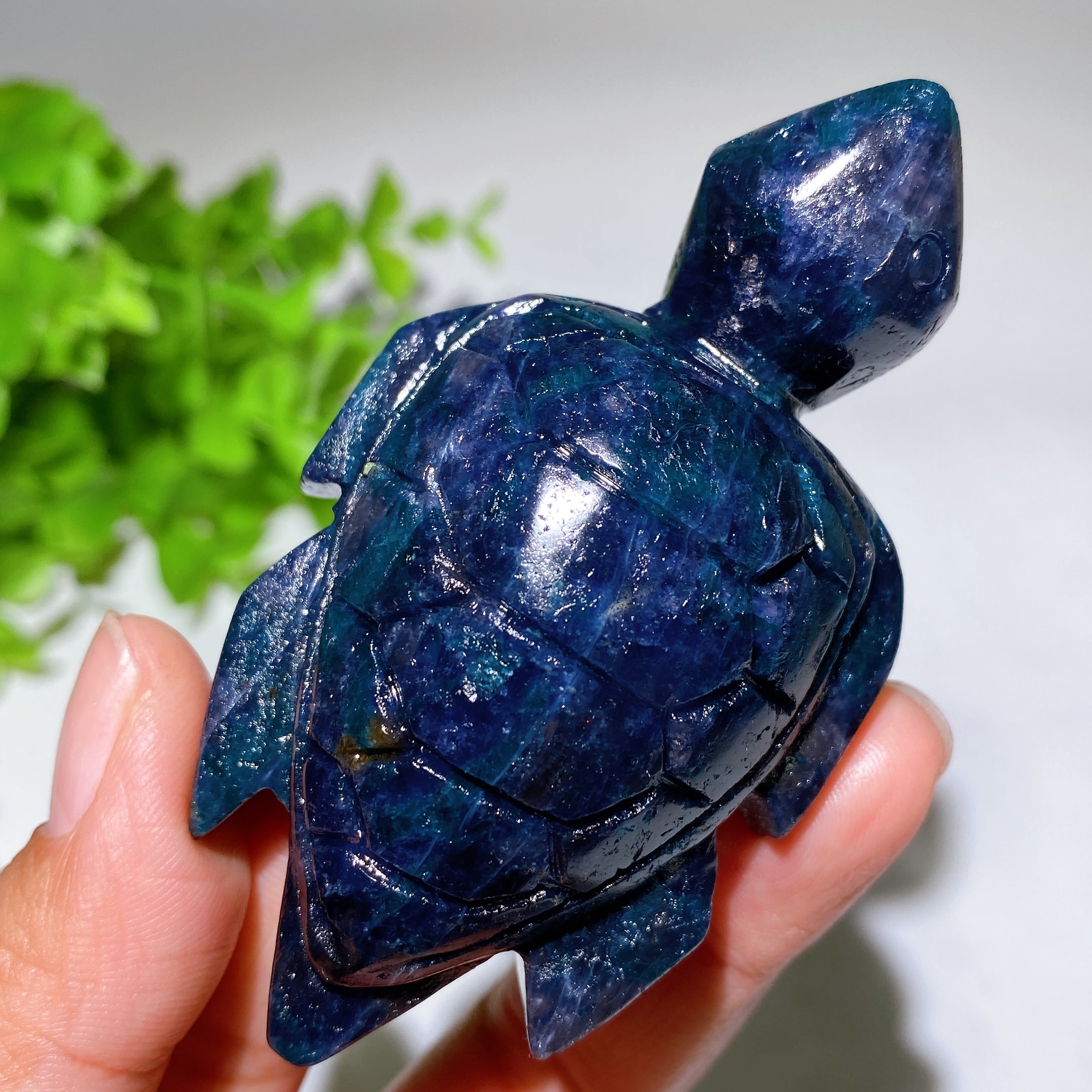 Cordierite Crystal Turtle Carving 2.2-3.2 Inches Healing Figurine