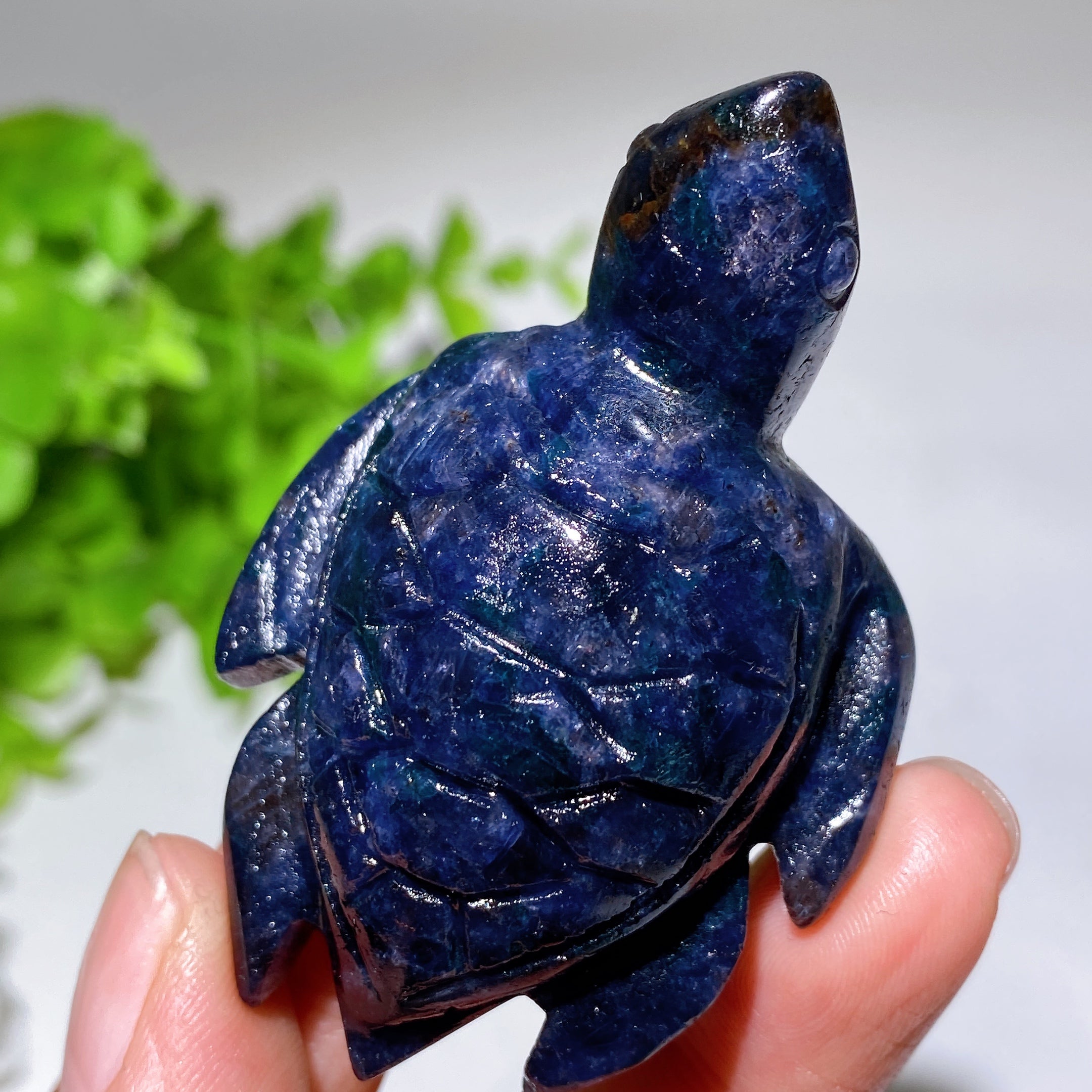 Cordierite Crystal Turtle Carving 2.2-3.2 Inches Healing Figurine