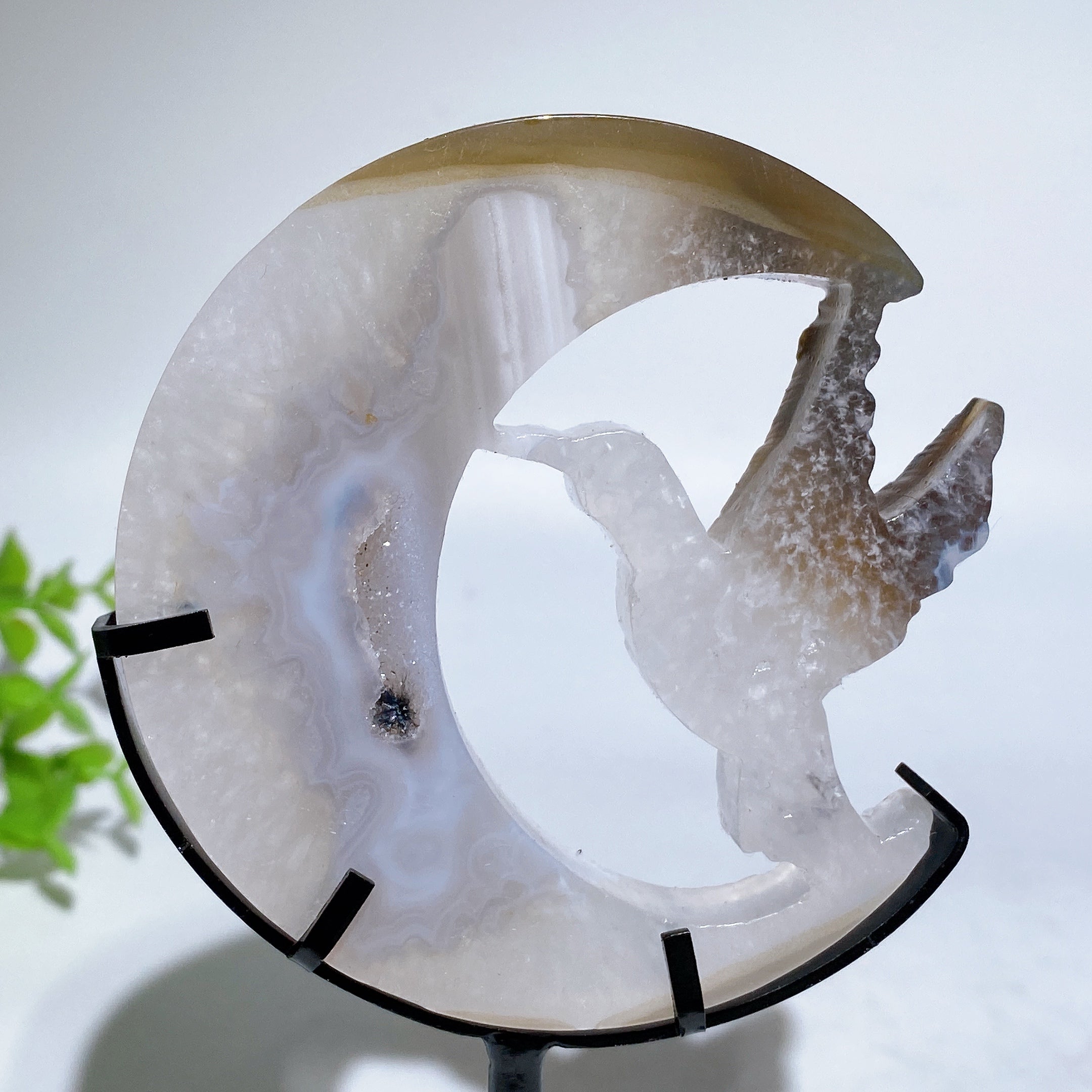 Crystal Hummingbird on Moon Healing Figurine 3.4in