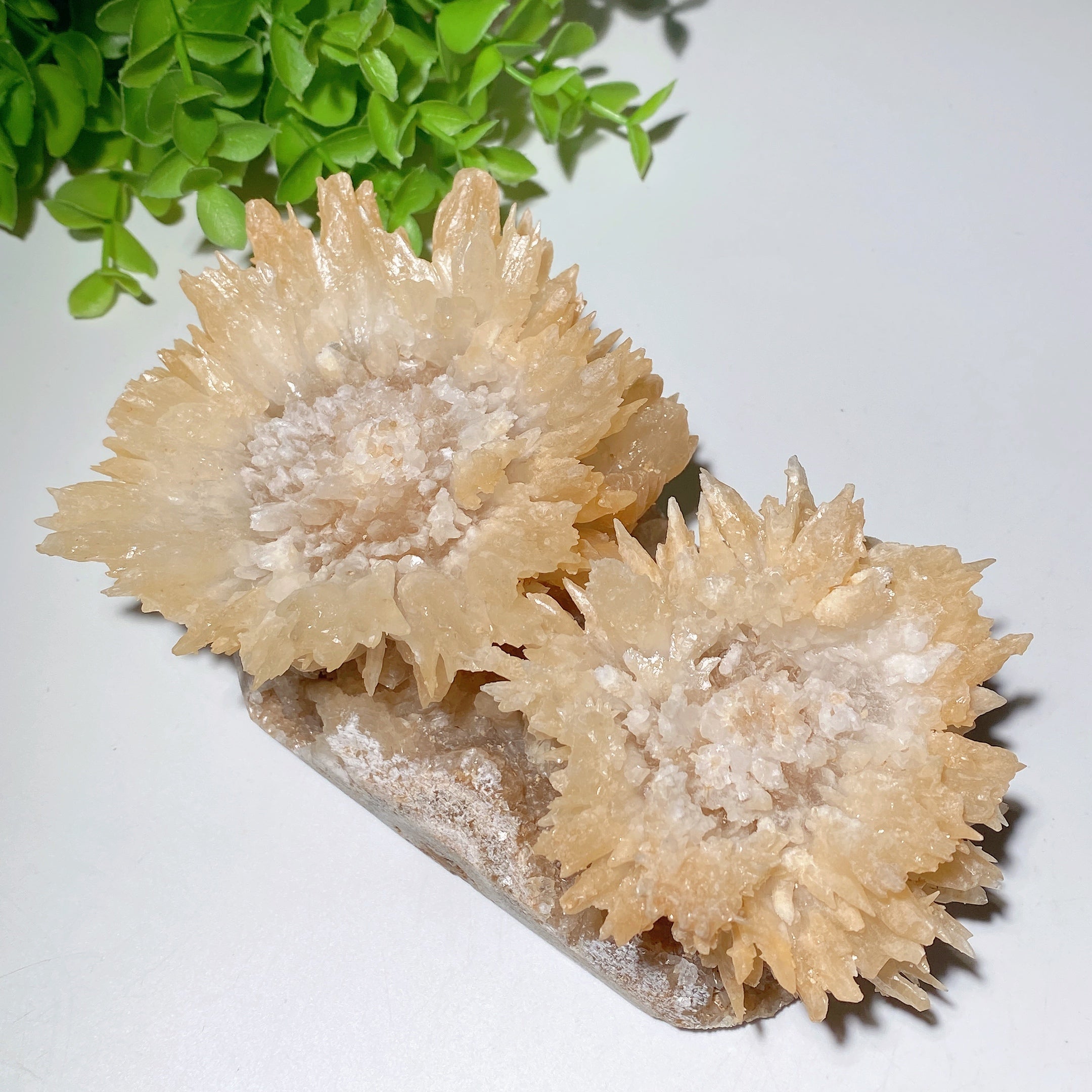Double Flower Calcite Crystal Specimen 17cm Display Piece