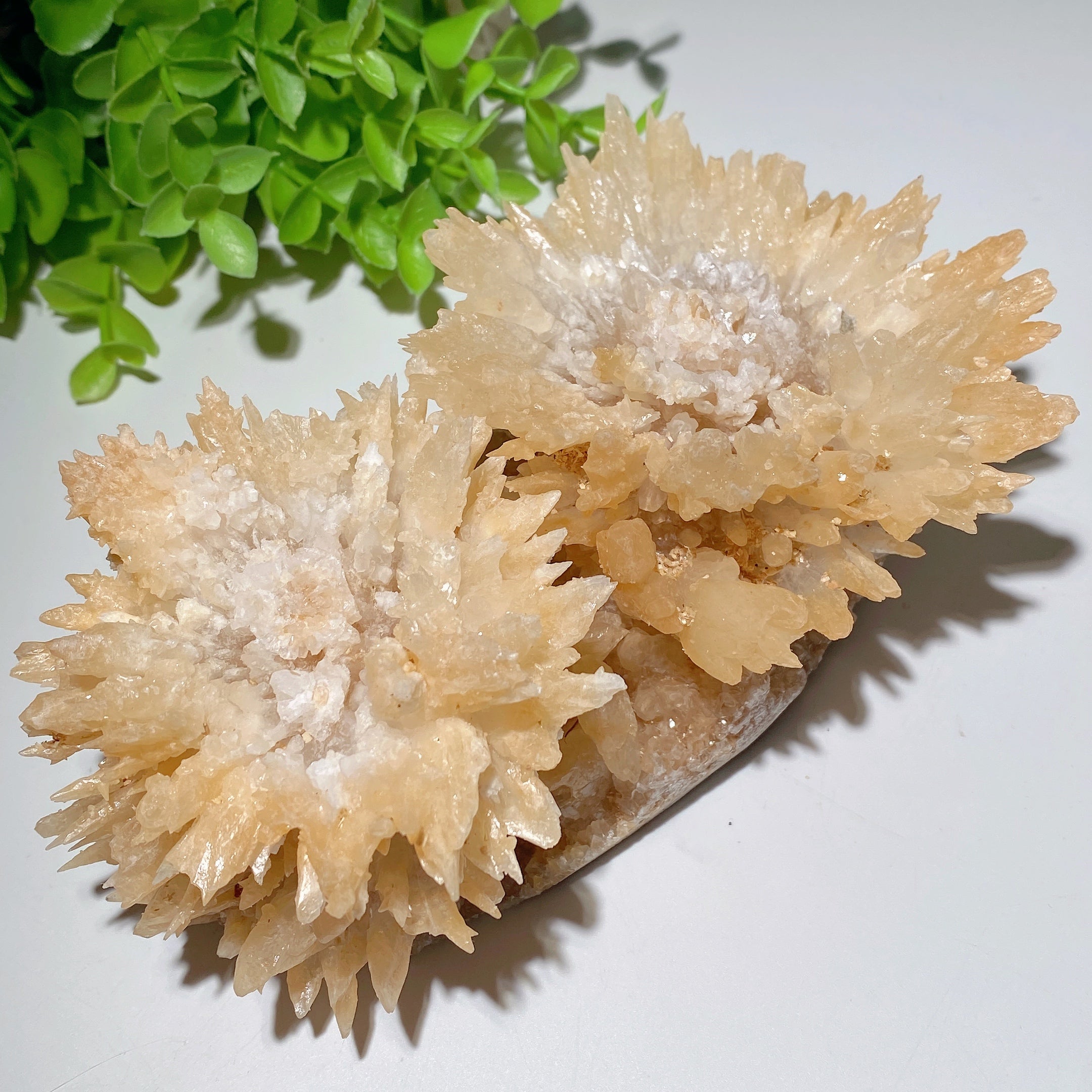 Double Flower Calcite Crystal Specimen 17cm Display Piece