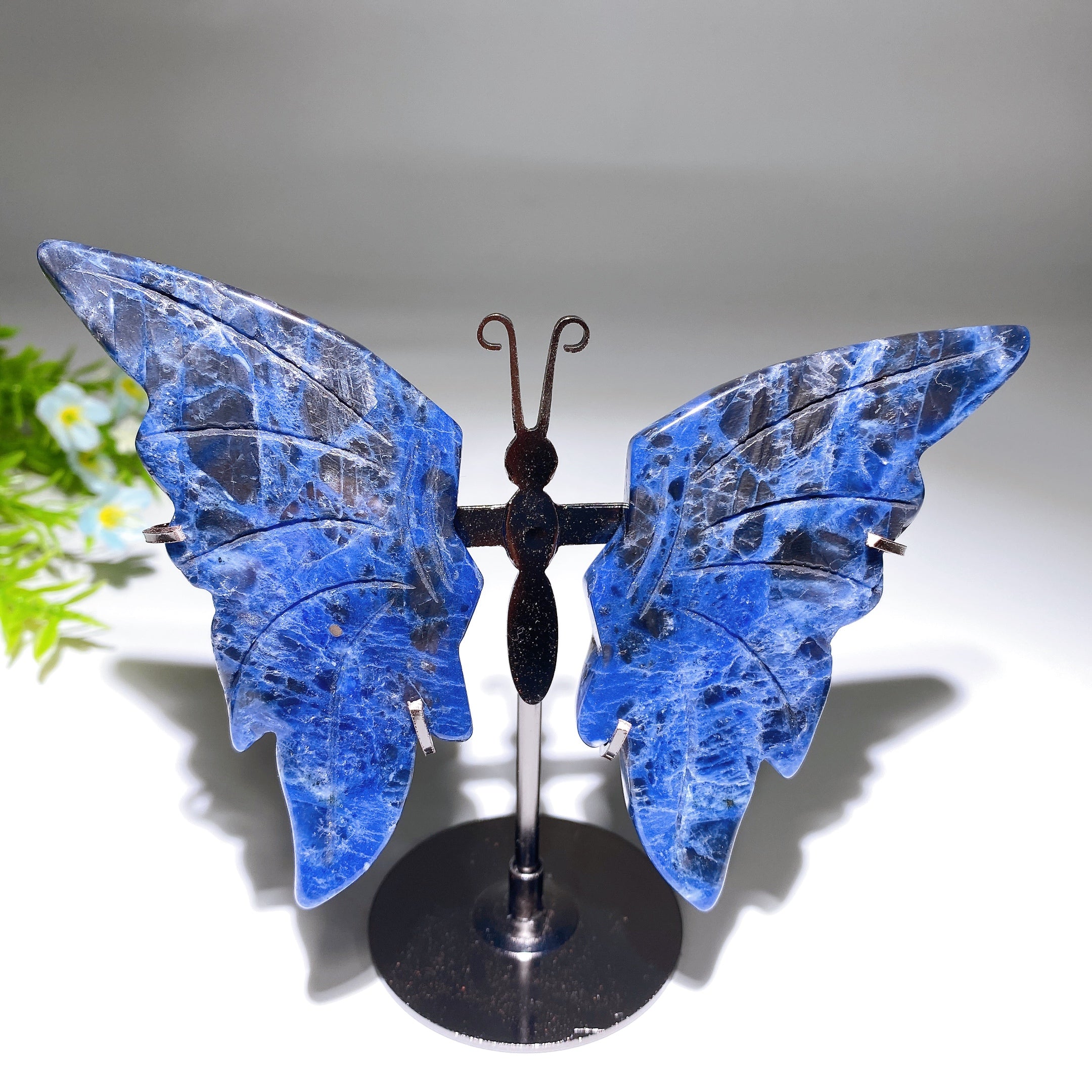Dream Amethyst Crystal Butterfly Wings Carving 14cm