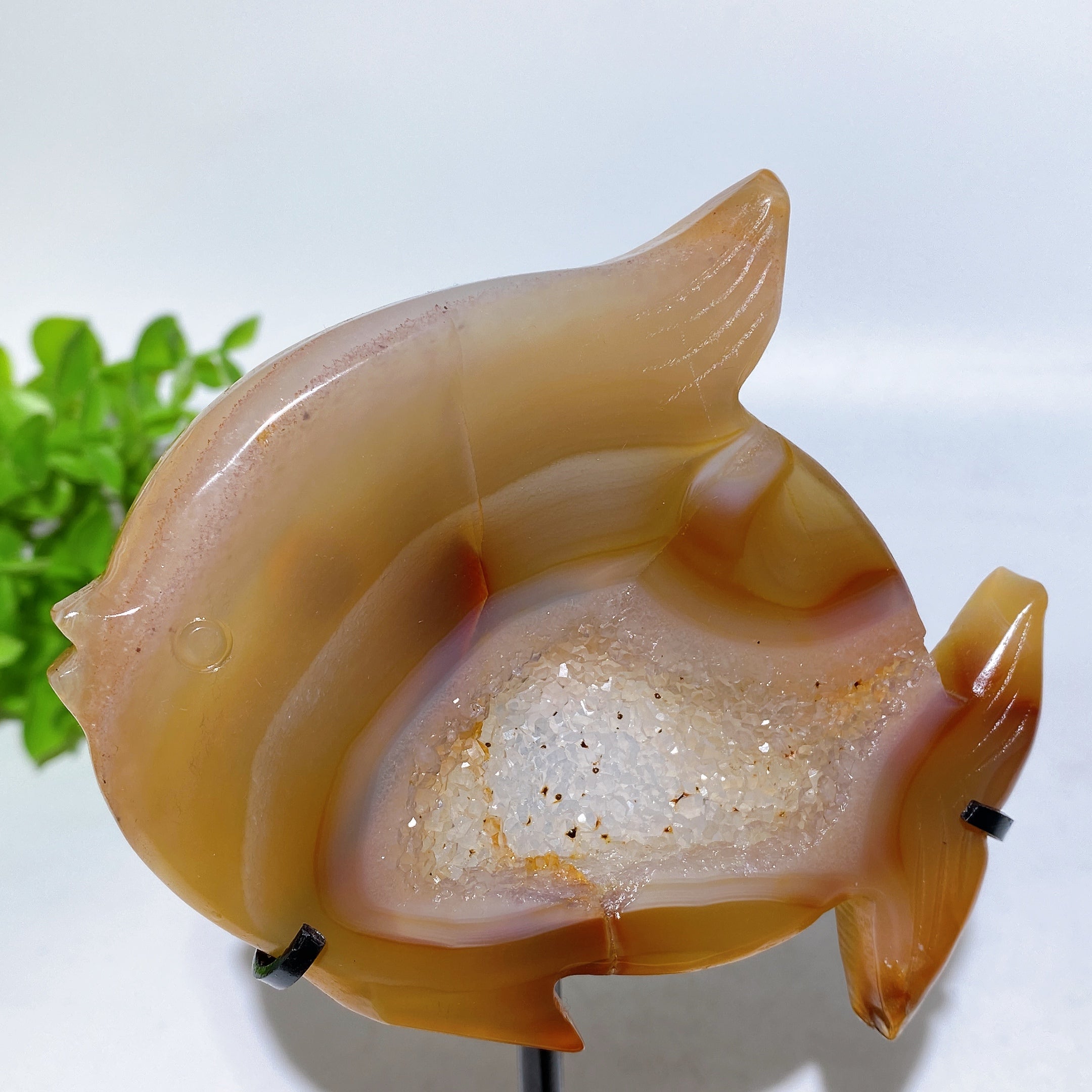 Druzy Agate Fish Carving with Stand for Spiritual Healing