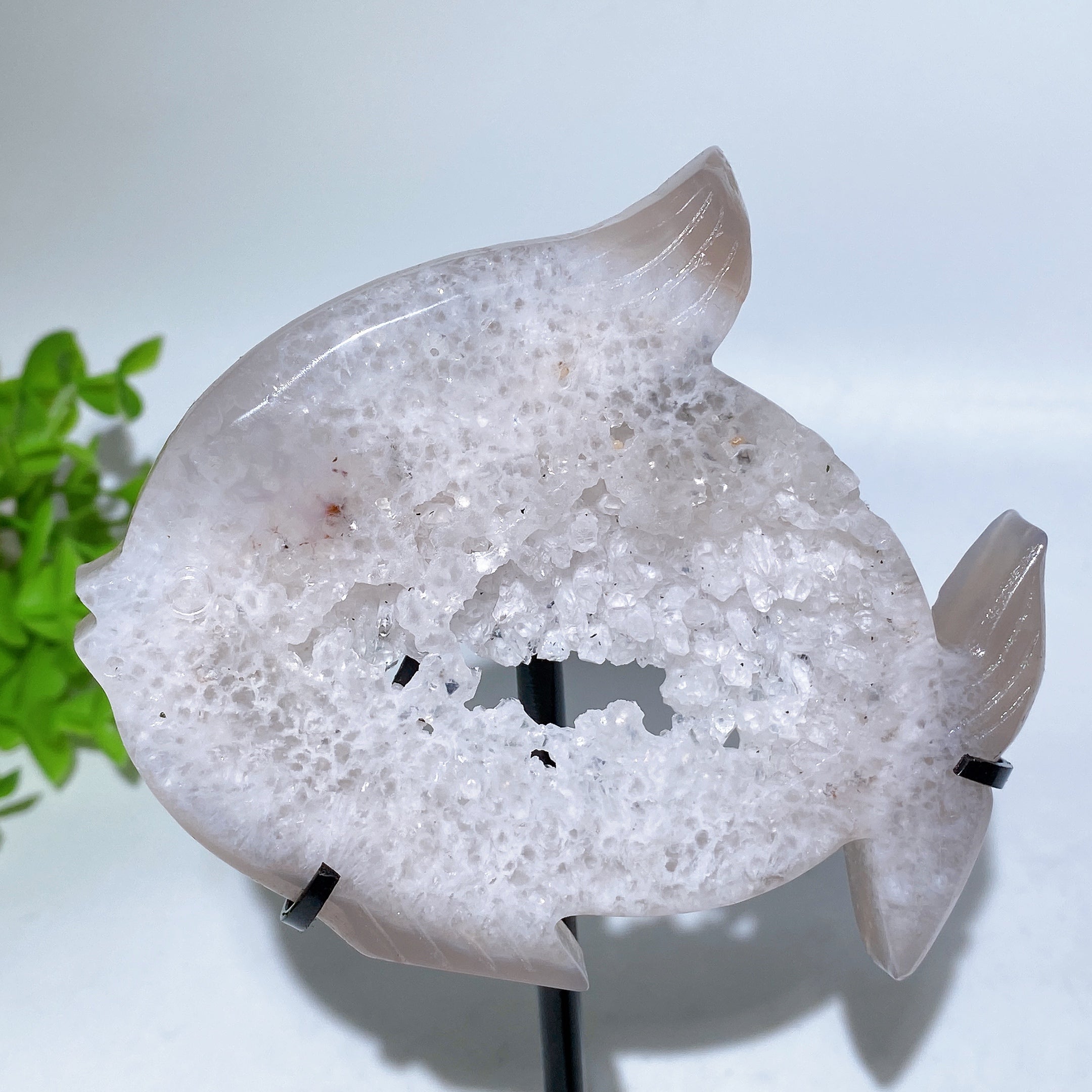 Druzy Agate Fish Carving with Stand for Spiritual Healing